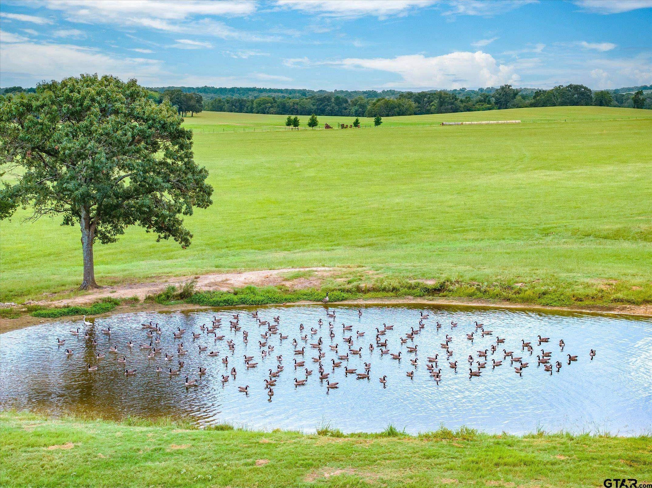 Ben Wheeler, TX 75754,0000 VZ County Road 4705