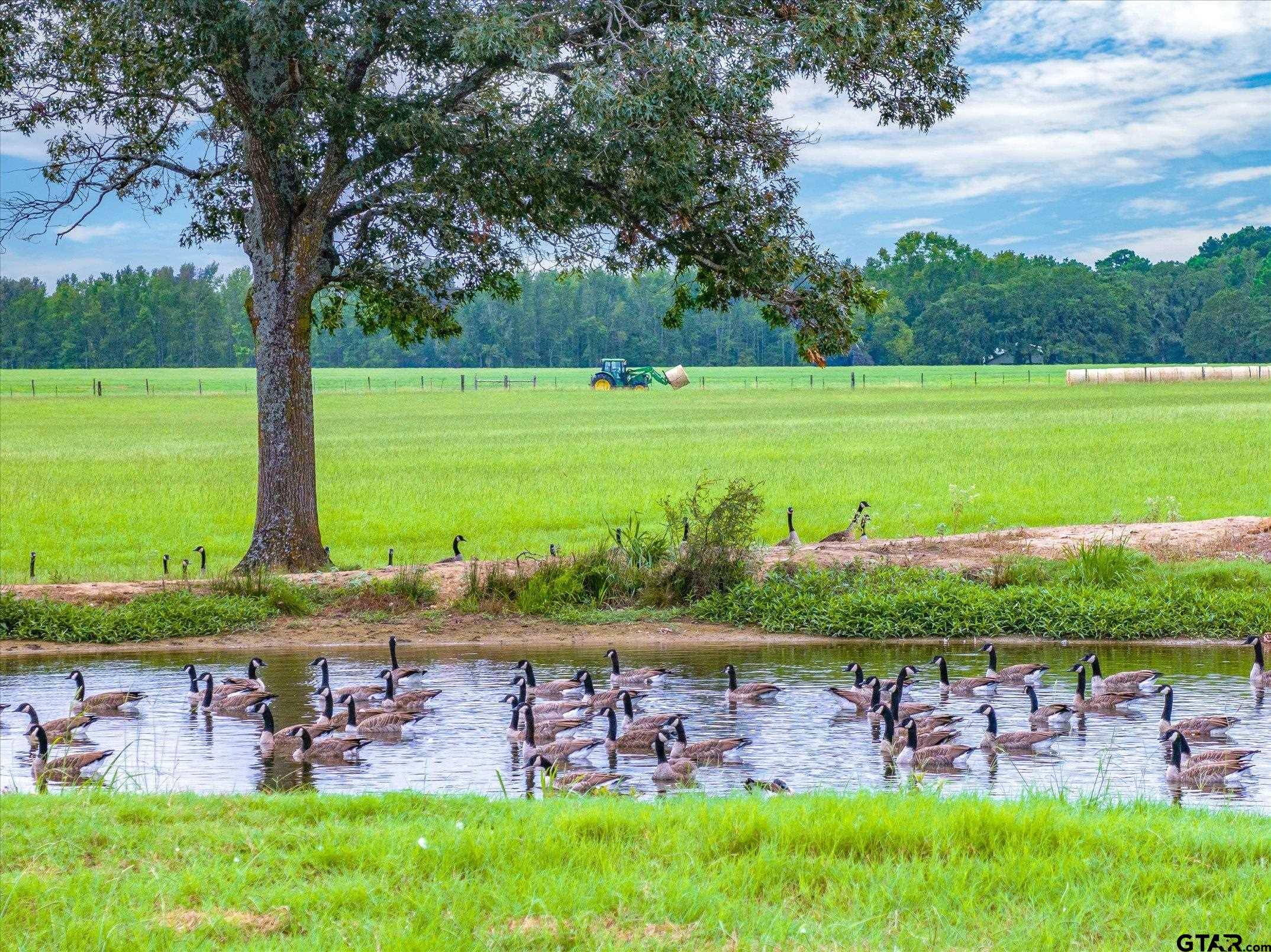 Ben Wheeler, TX 75754,0000 VZ County Road 4705