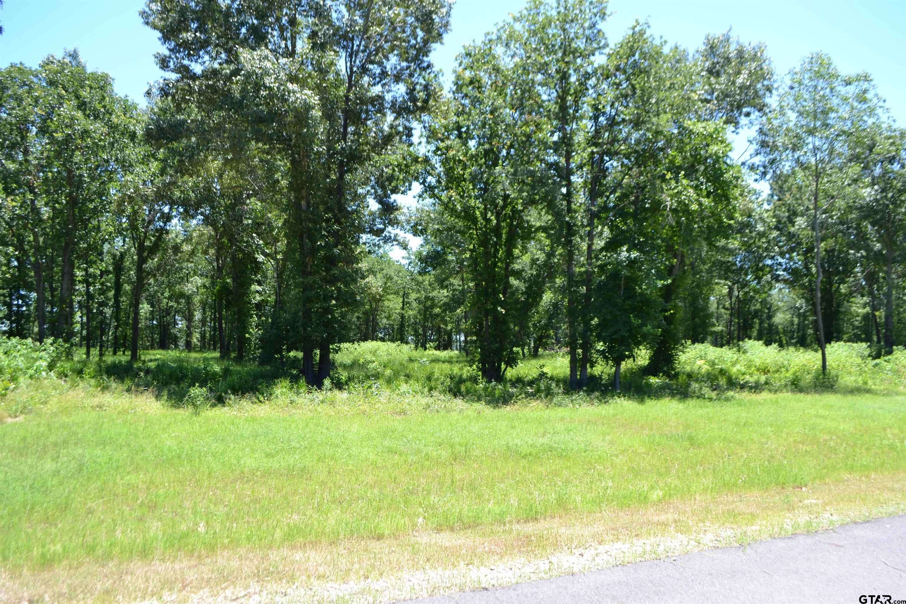 Yantis, TX 75497,Lot 36 Angler Shores Drive