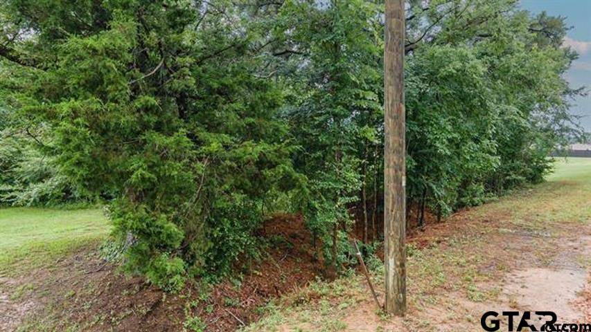 Frankston, TX 75763,Lot 43 A CR 3009
