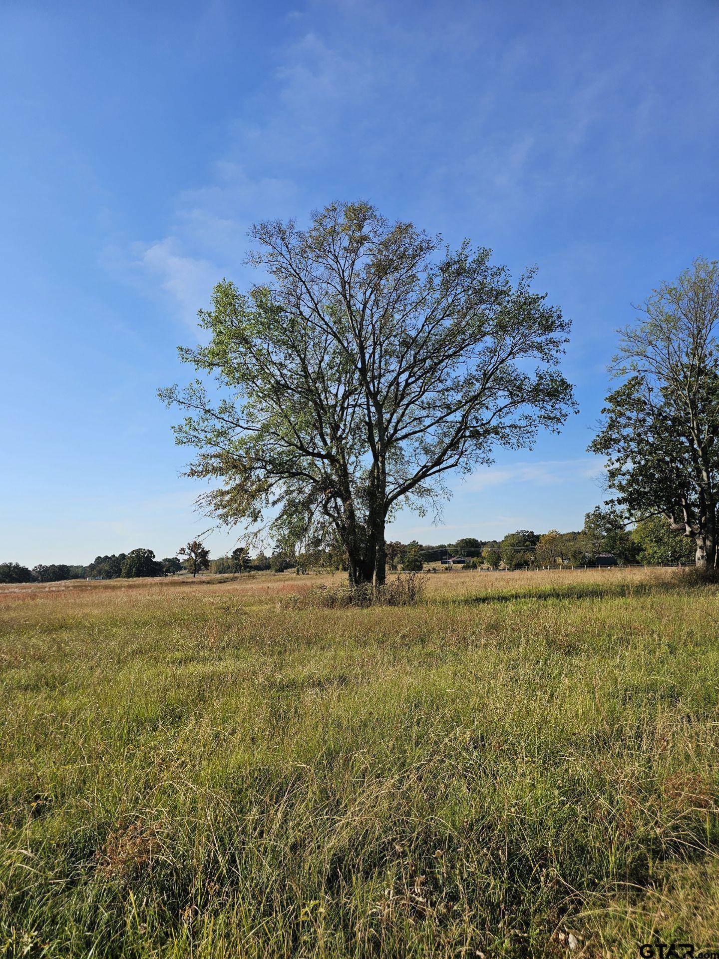 Mt Pleasant, TX 75455,LOT 19 CR 3270