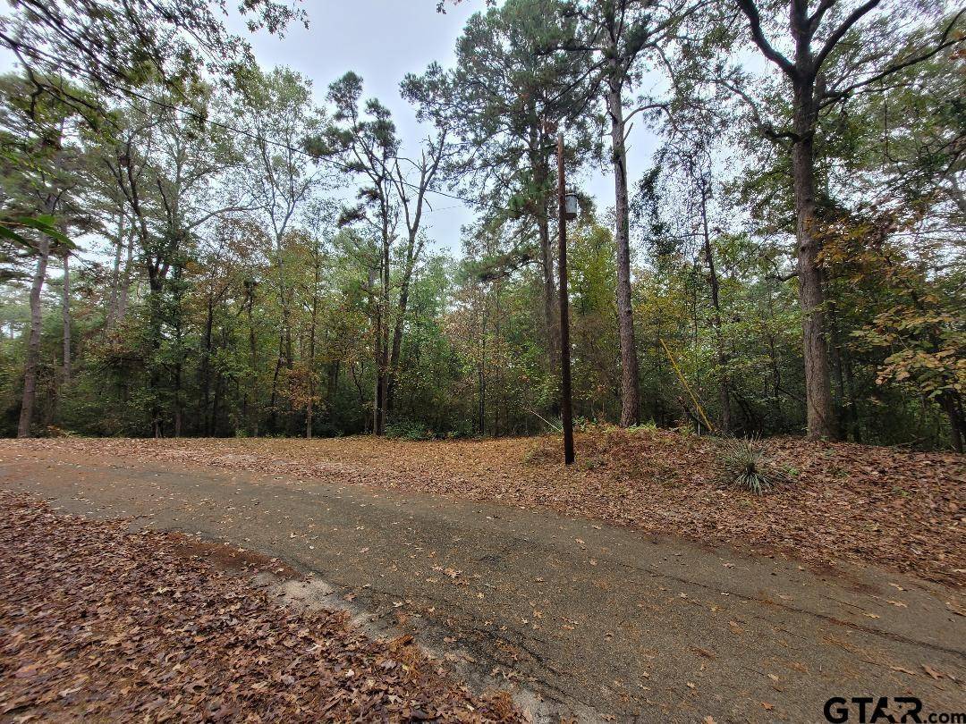 Holly Lake Ranch, TX 75765,Lots 284-286 Peachtree Ln