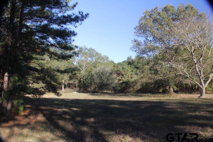 Overton, TX 75684,21855 CR 3211