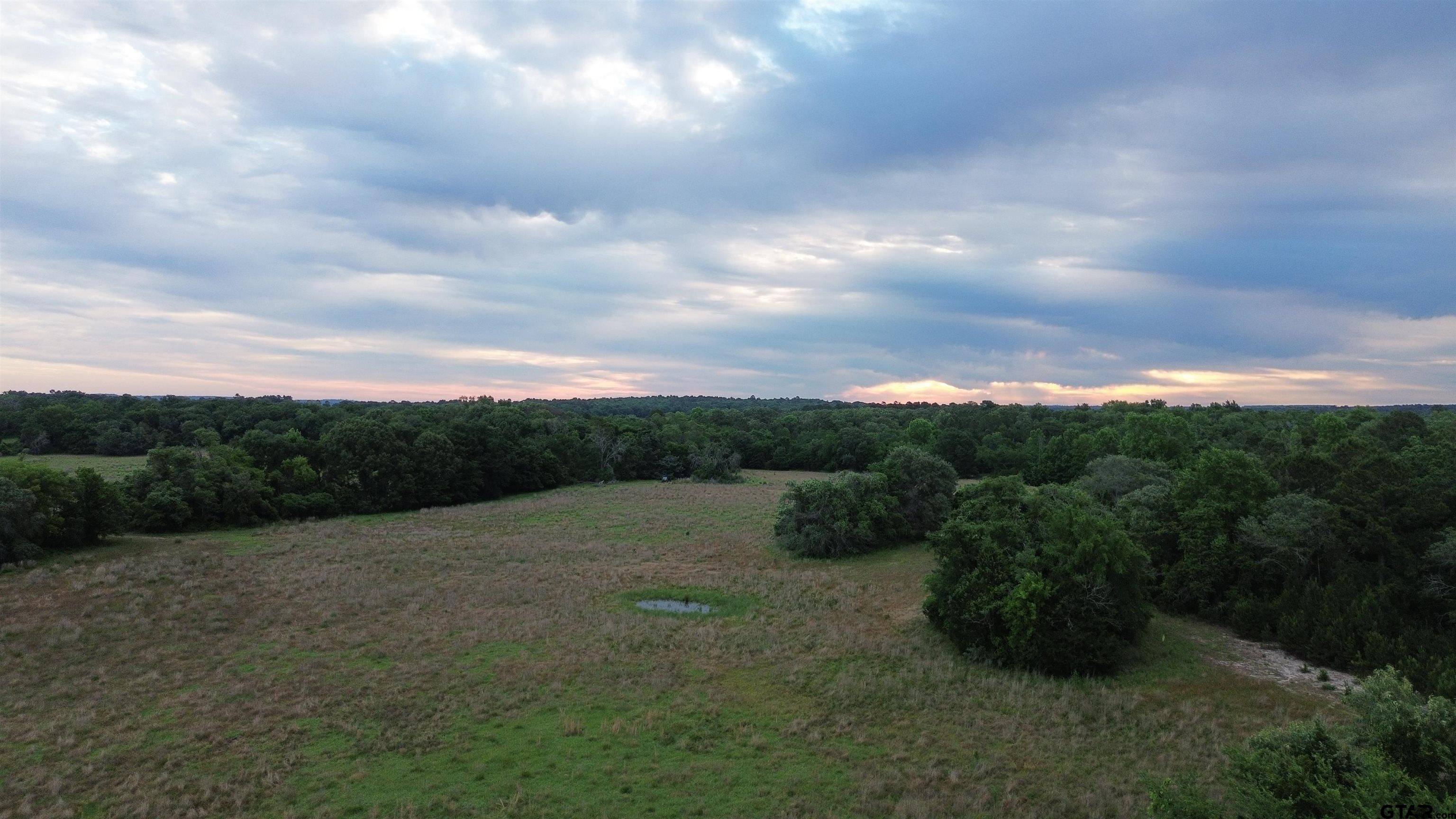 Larue, TX 75770,5520 CR 4330