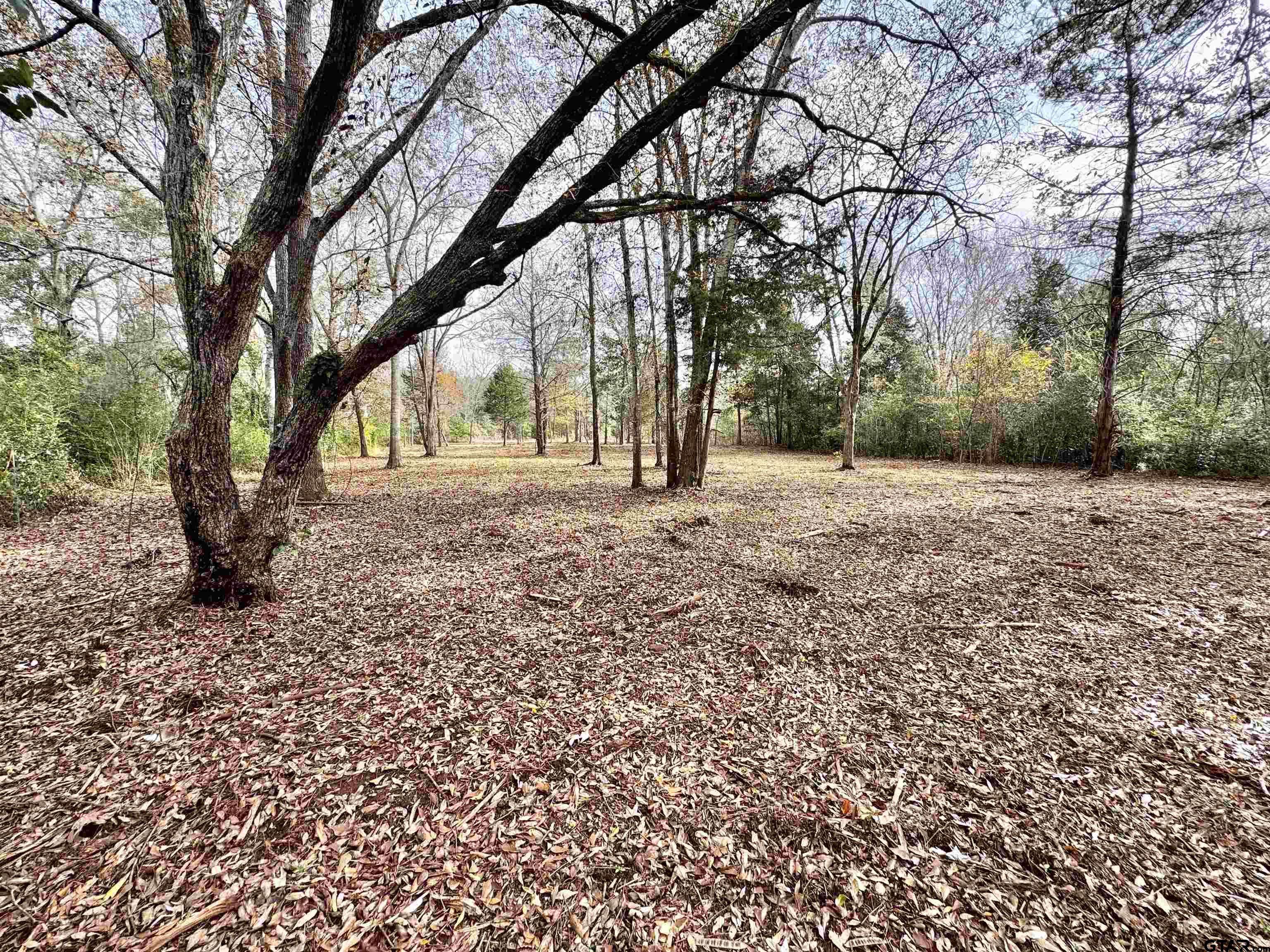 Jacksonville, TX 75766,TBD Lakeshore Dr., Lot#11