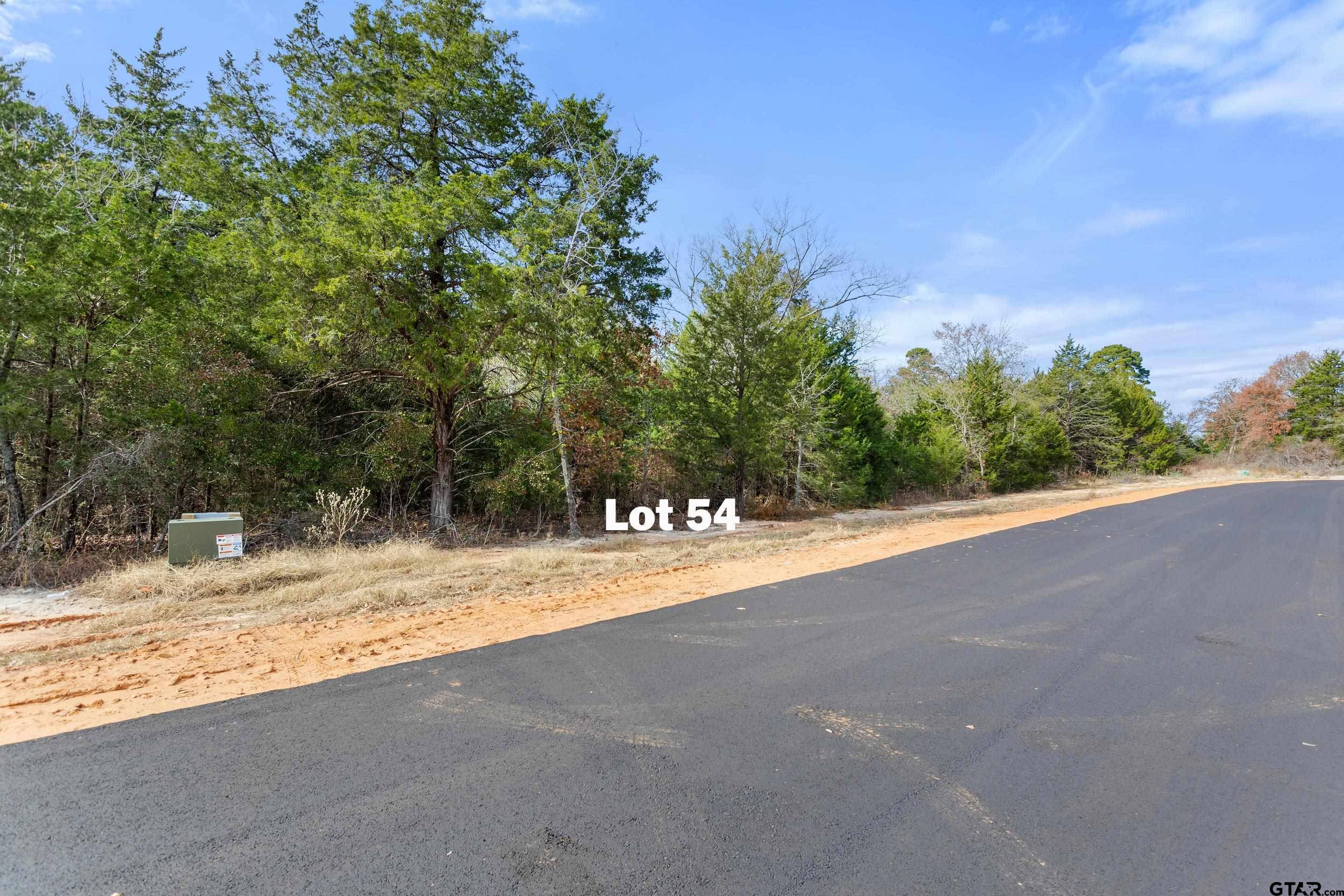 Mineola, TX 75773,TBD PR 6305 LOT 54