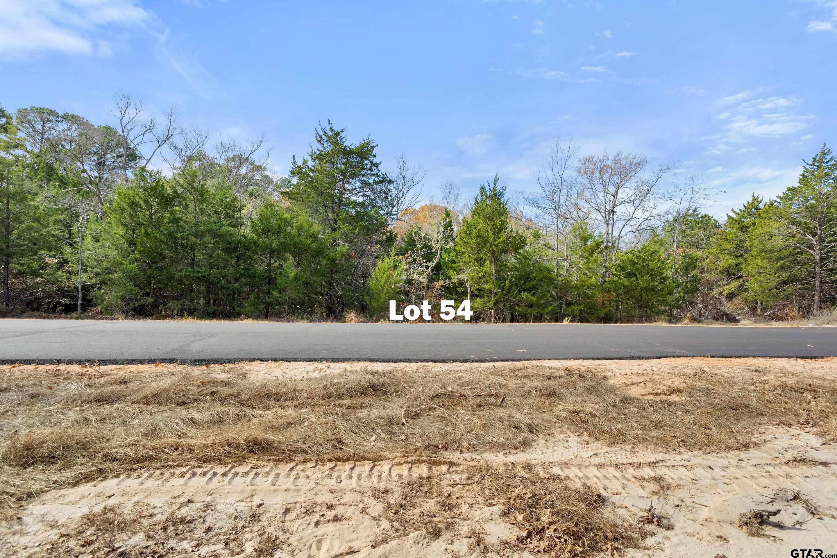 Mineola, TX 75773,TBD PR 6305 LOT 54