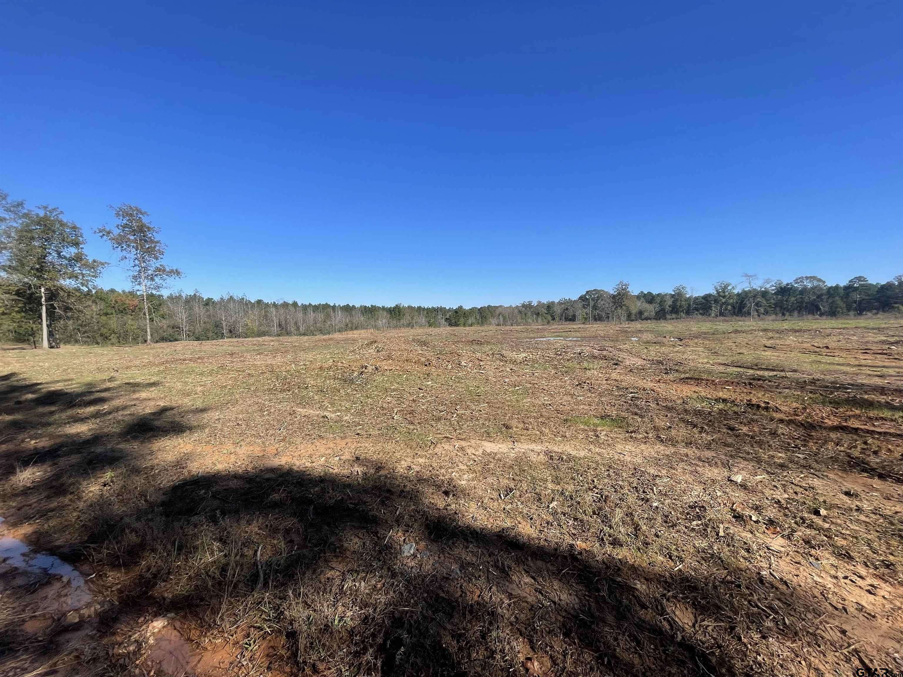 Tenaha, TX 75974,TBD CR 4505