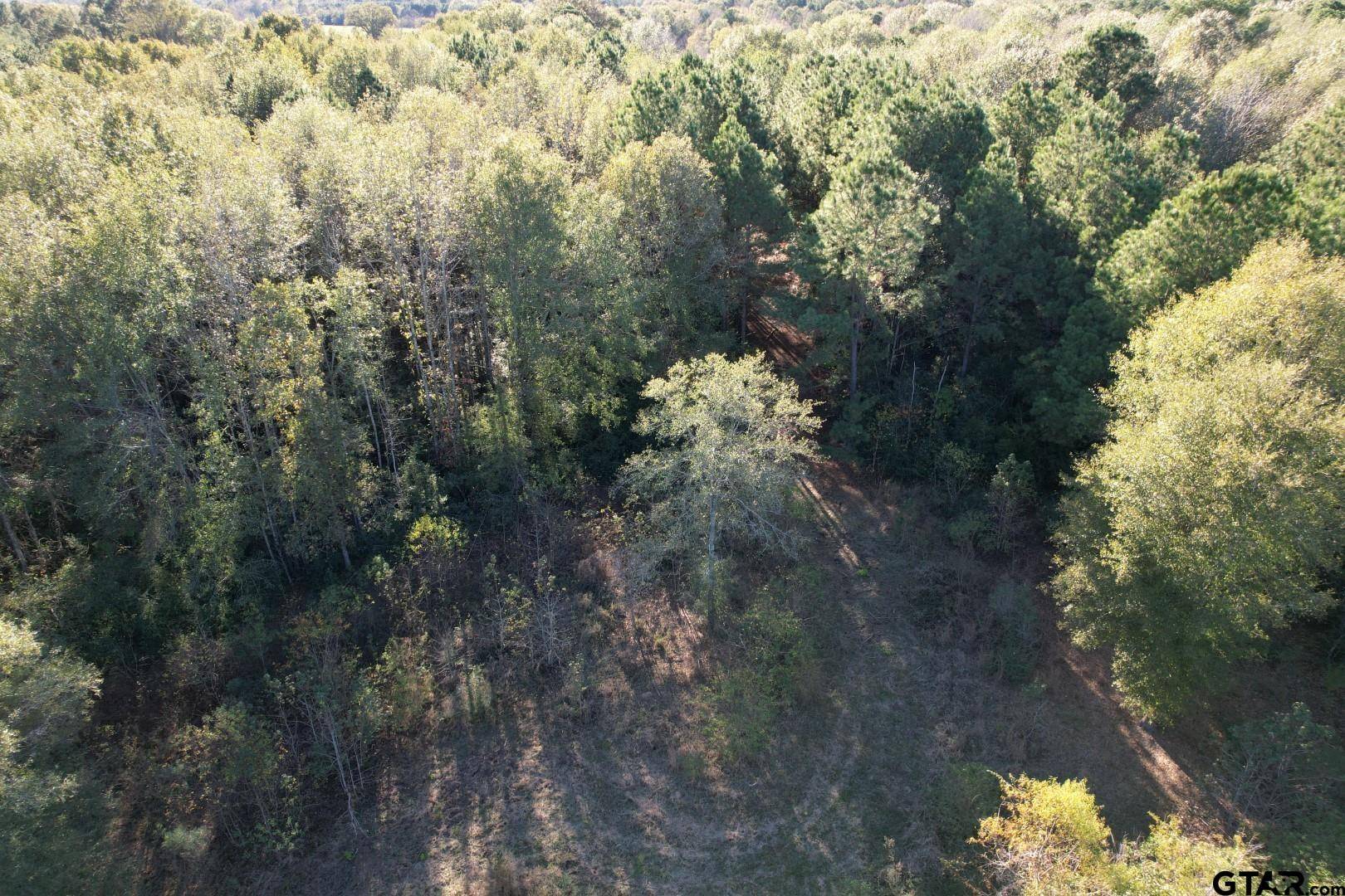 Tenaha, TX 75974,TBD HWY 59
