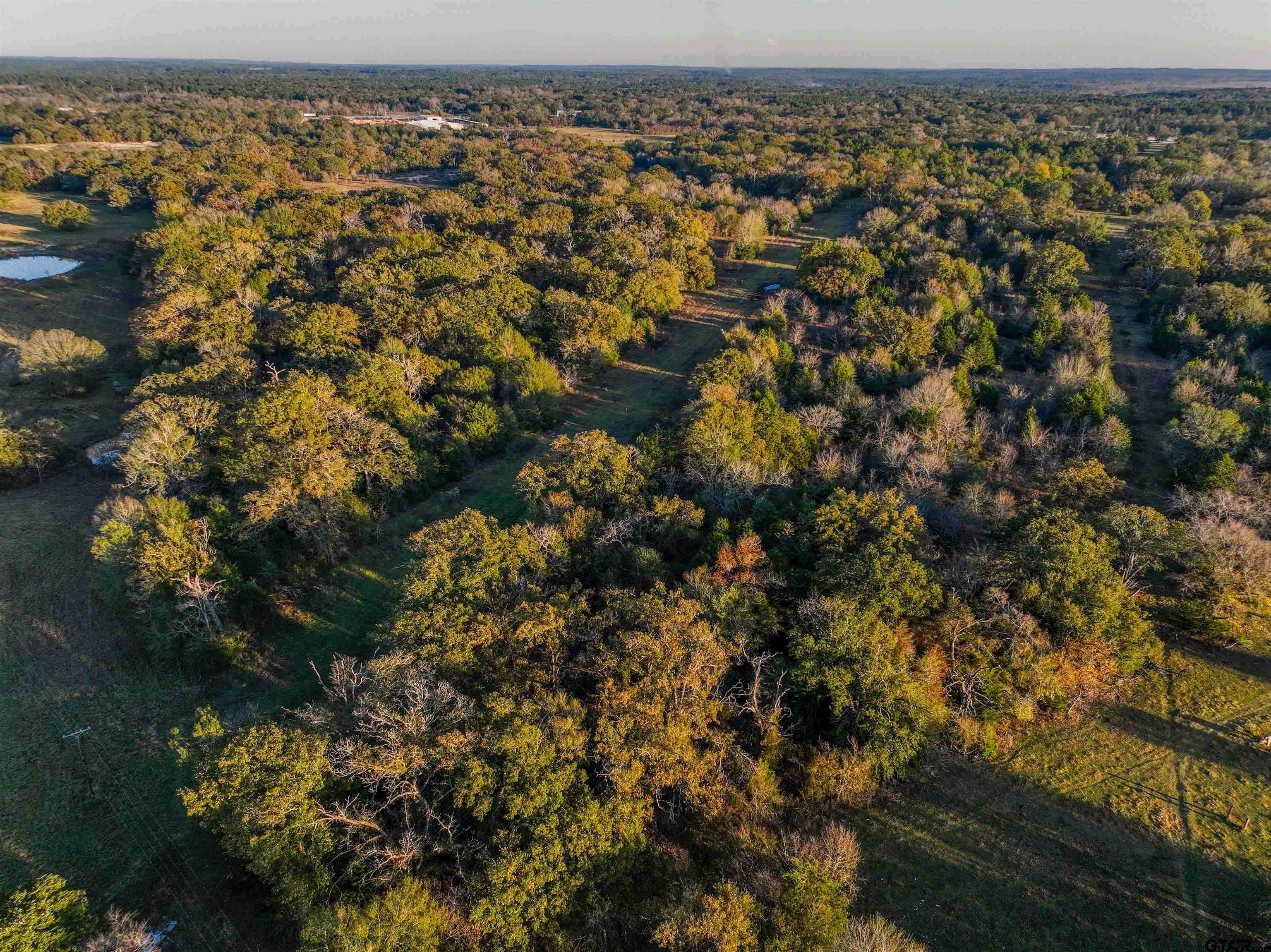 Palestine, TX 75801,000 S US Hwy 79