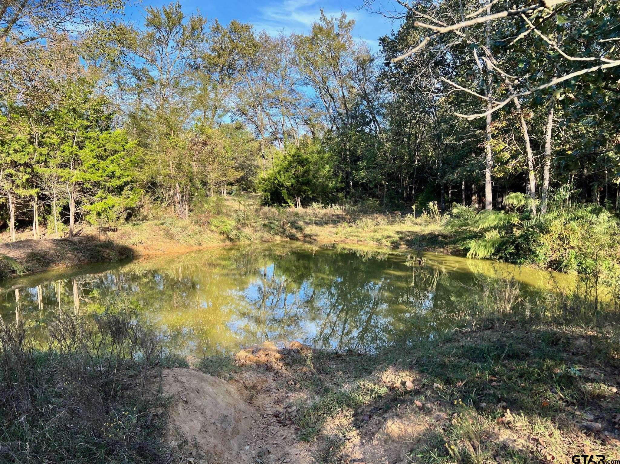 Winnsboro, TX 75494,0000 SW CR 3170
