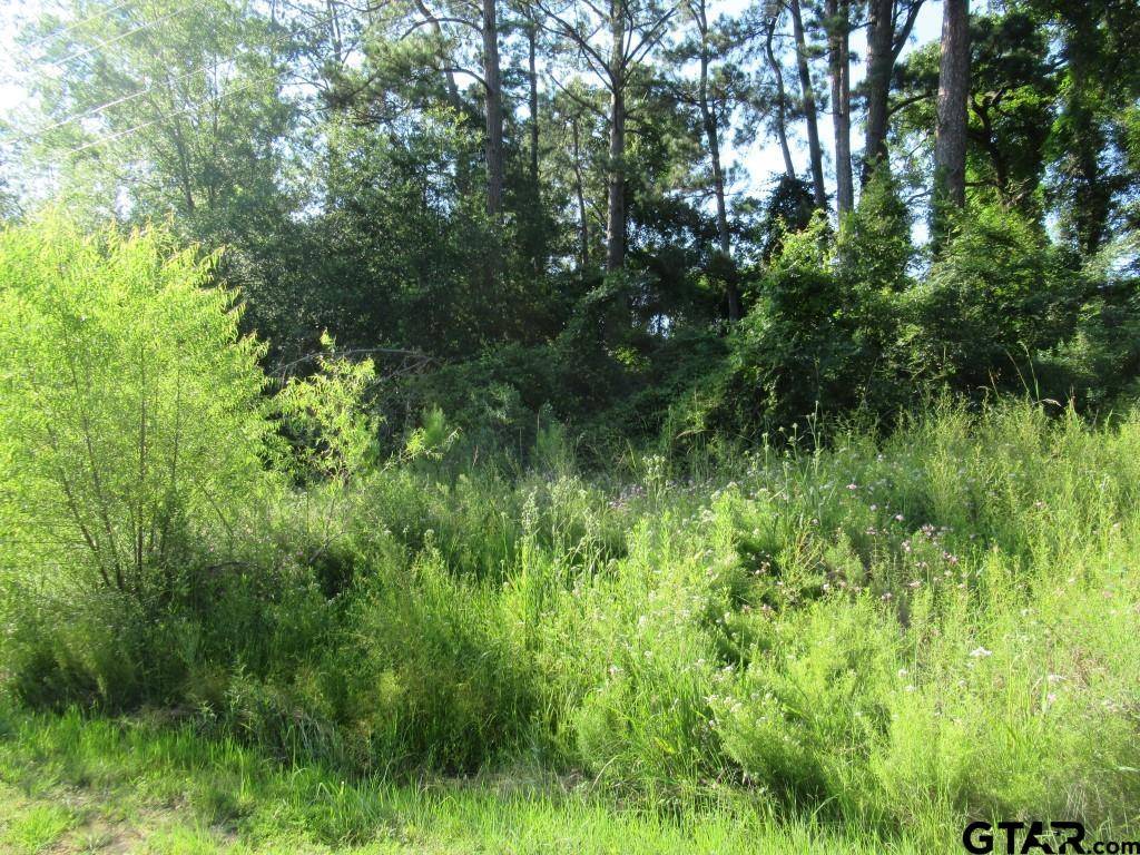 Flint, TX 75762,22448 Shady Trail