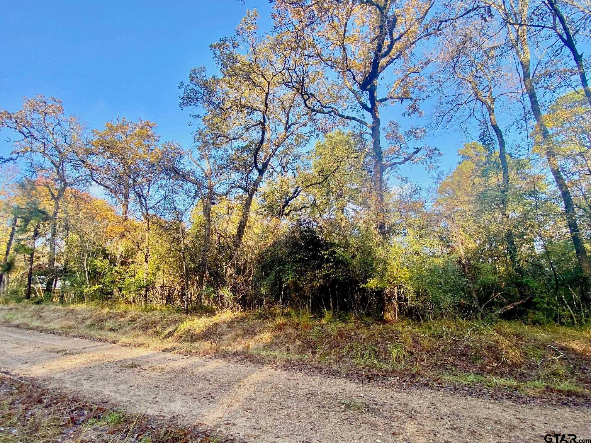 Crockett, TX 75835,TBD Lakeview Circle