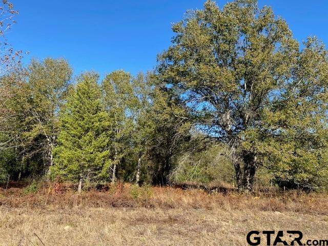 Athens, TX 75752,TR 3 Meadow Park