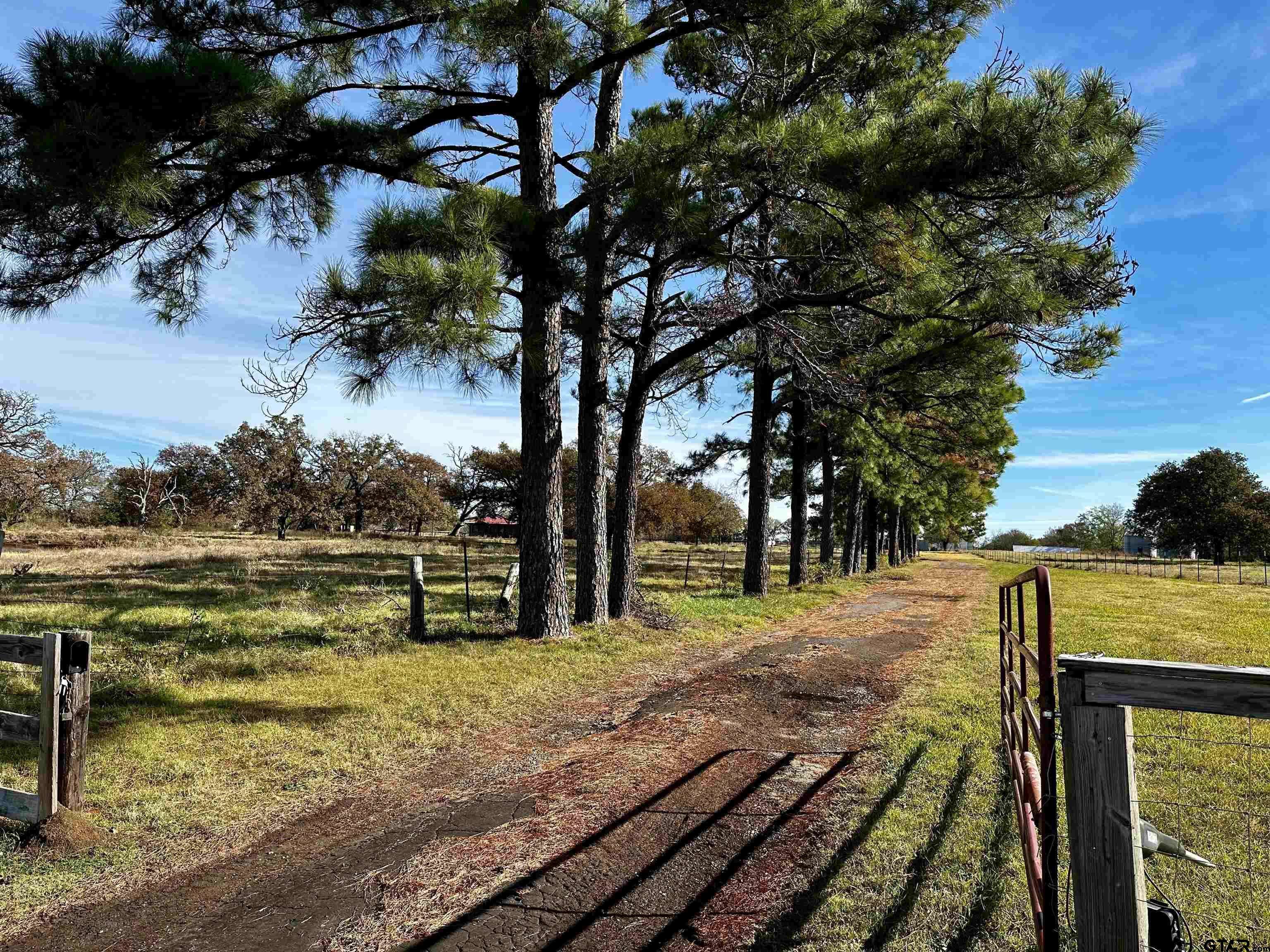 Mt Vernon, TX 75457,3706 Farm Road 1896