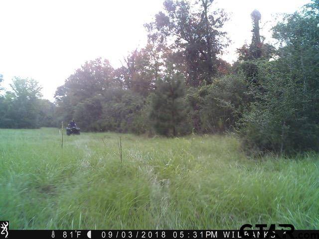 Pennington, TX 75856,TBD CR 4200 (Fodice Road)
