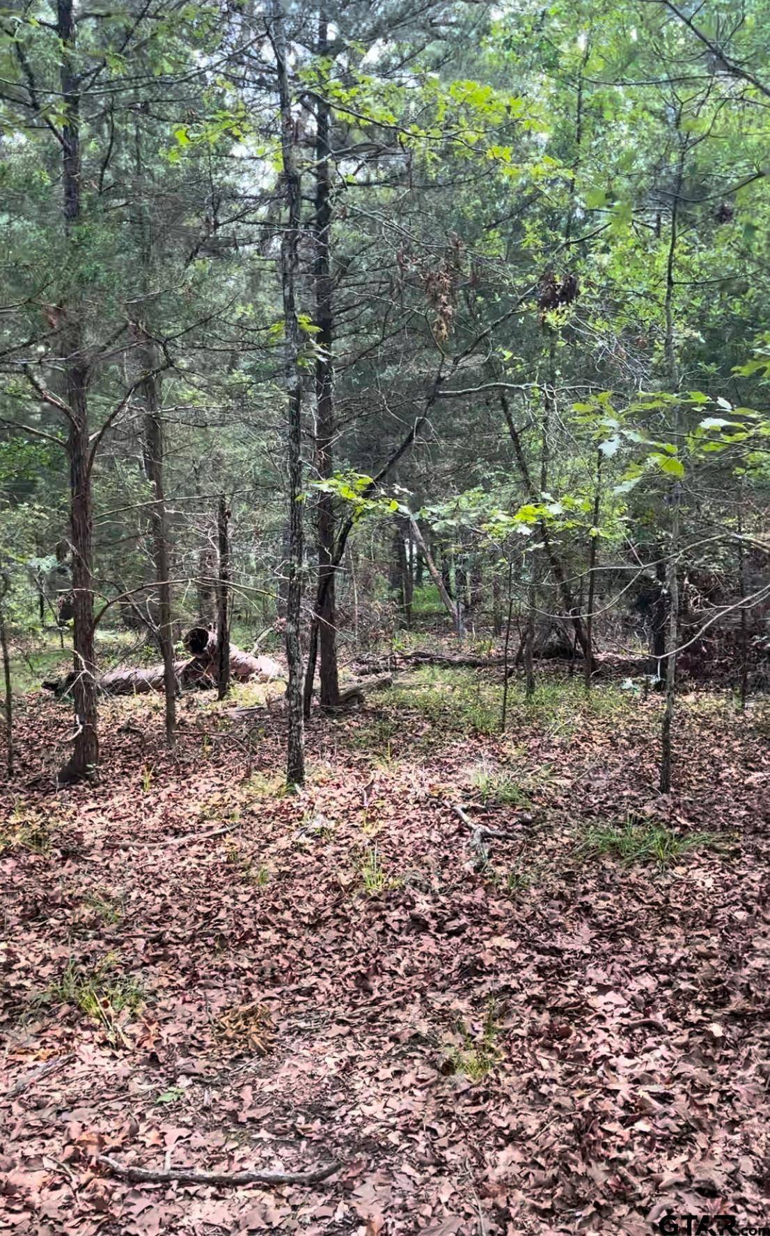 Murchison, TX 75778,Lot 14 Hideaway