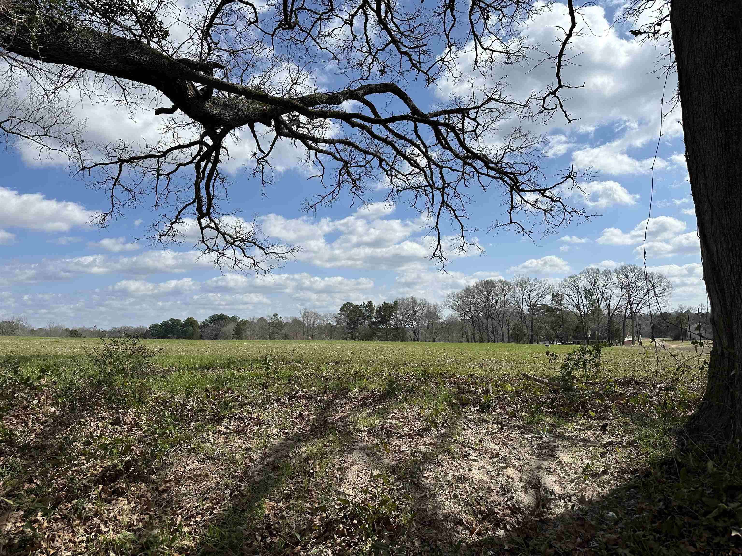 Henderson, TX 75654,TBD LOT 1 COUNTY ROAD 401