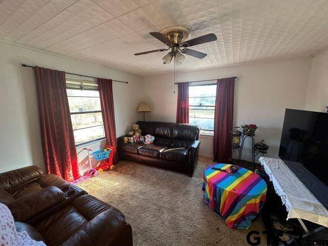 Timpson, TX 75975,729 Rosehill