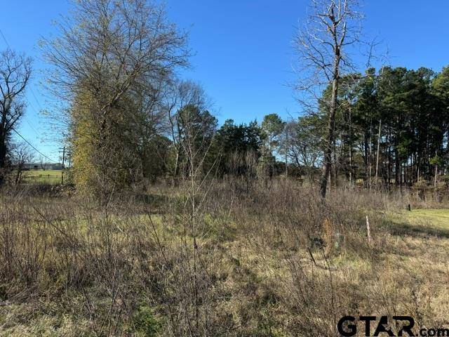 Frankston, TX 75763,Lot 1 Berrycreek Circle