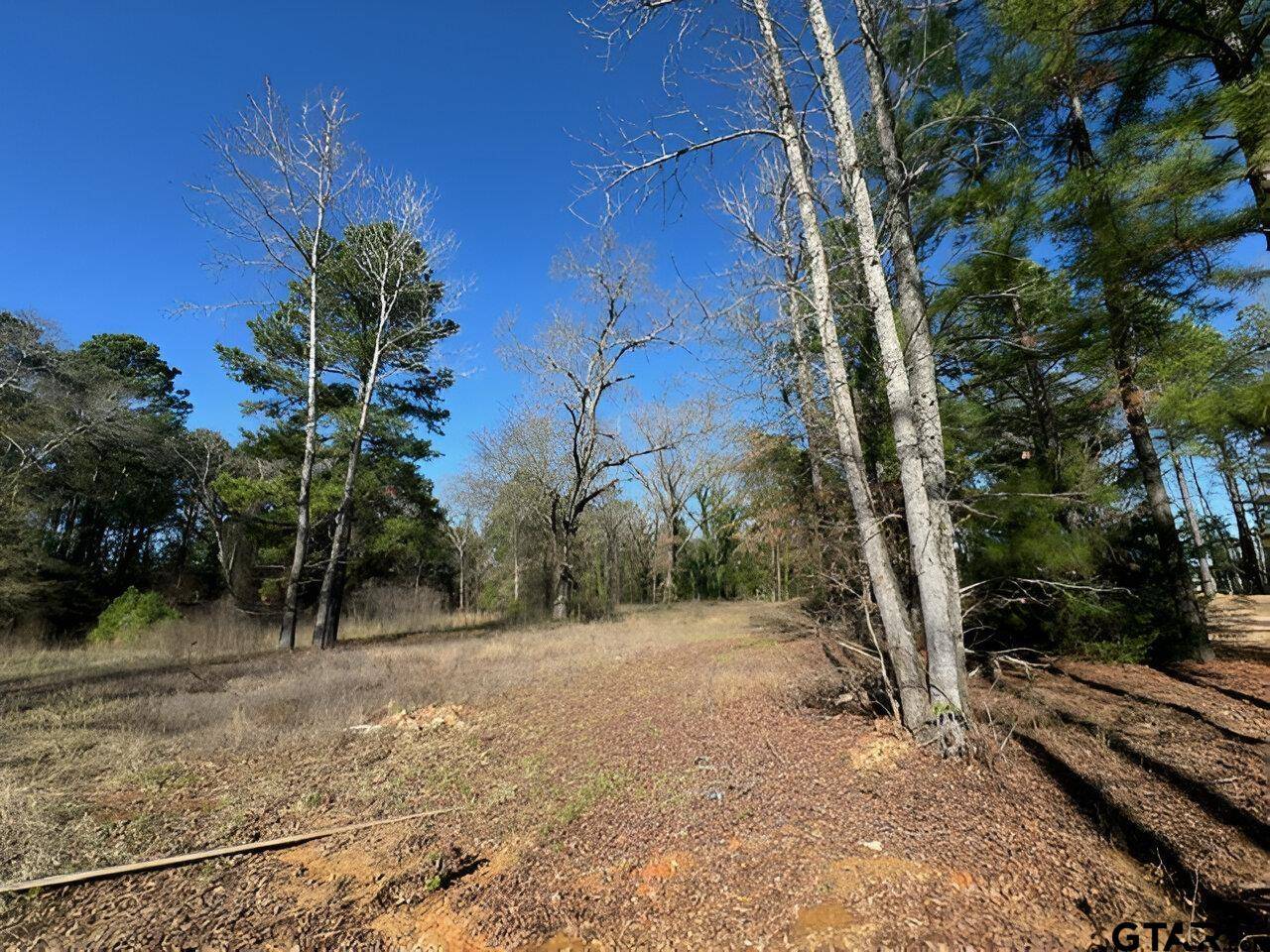 Frankston, TX 75763,Lot 4 Berrycreek Circle