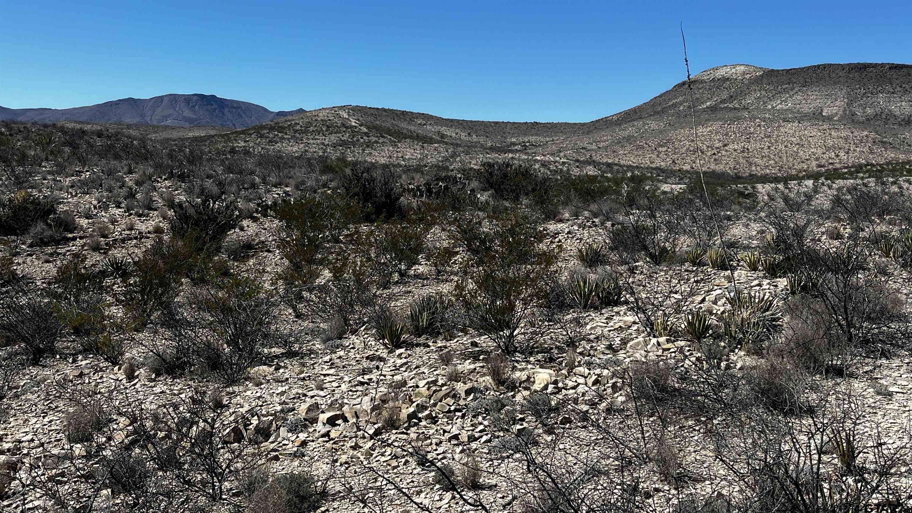 Terlingua, TX 79852,10 Trachyte PID 21196