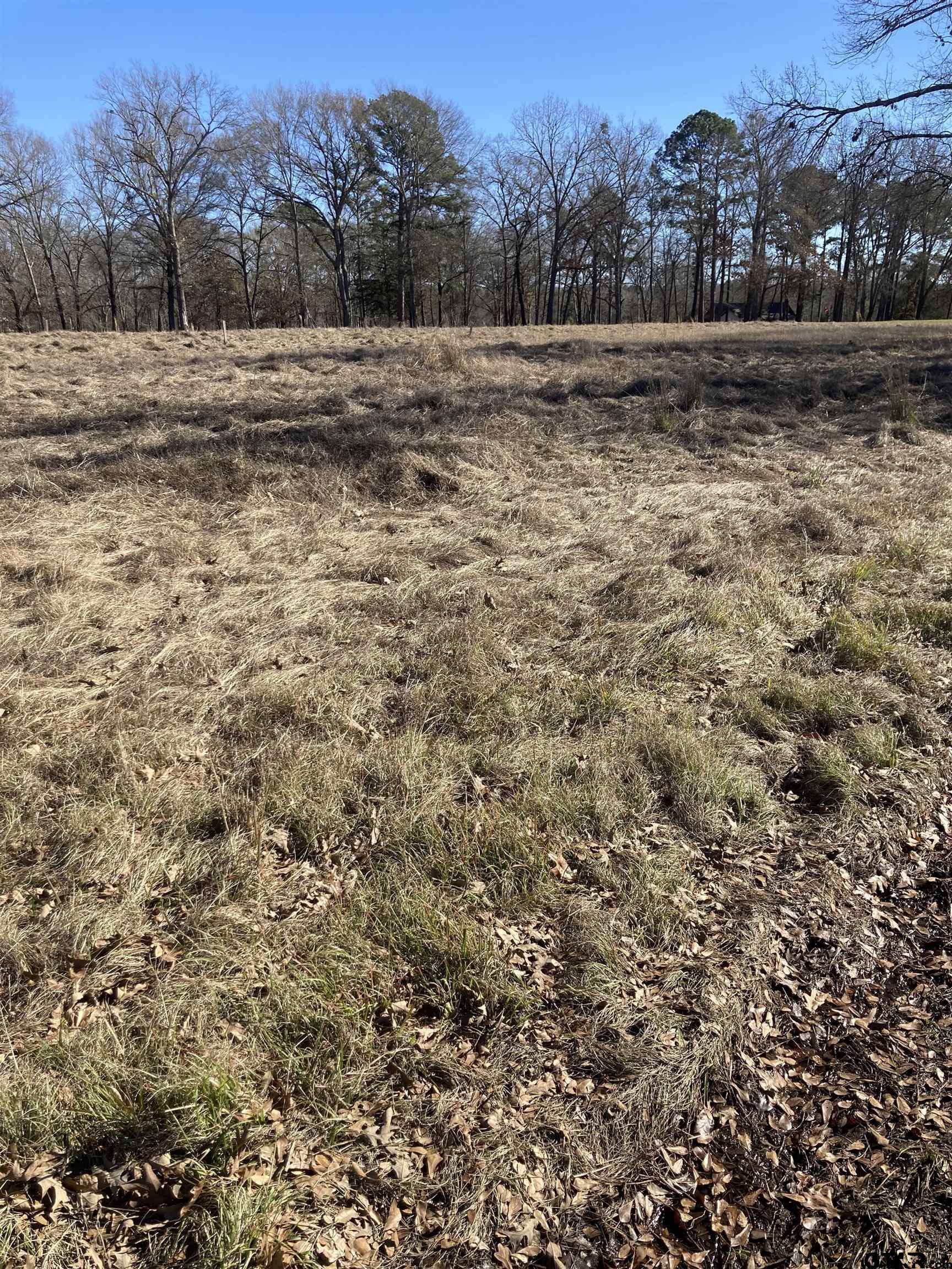Lindale, TX 75771,00 County Road 426