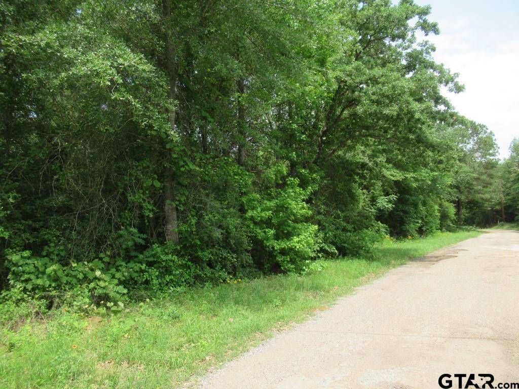 Palestine, TX 75803,3.54 AC CR 352