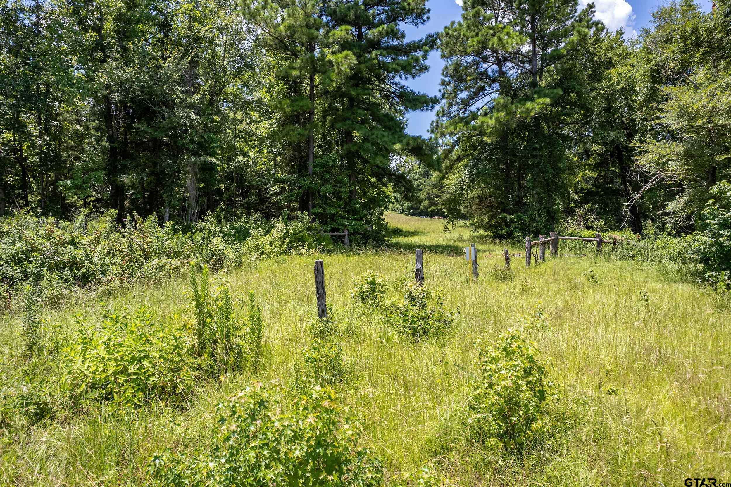 Winona, TX 75792,Lot 71 Star Mountain