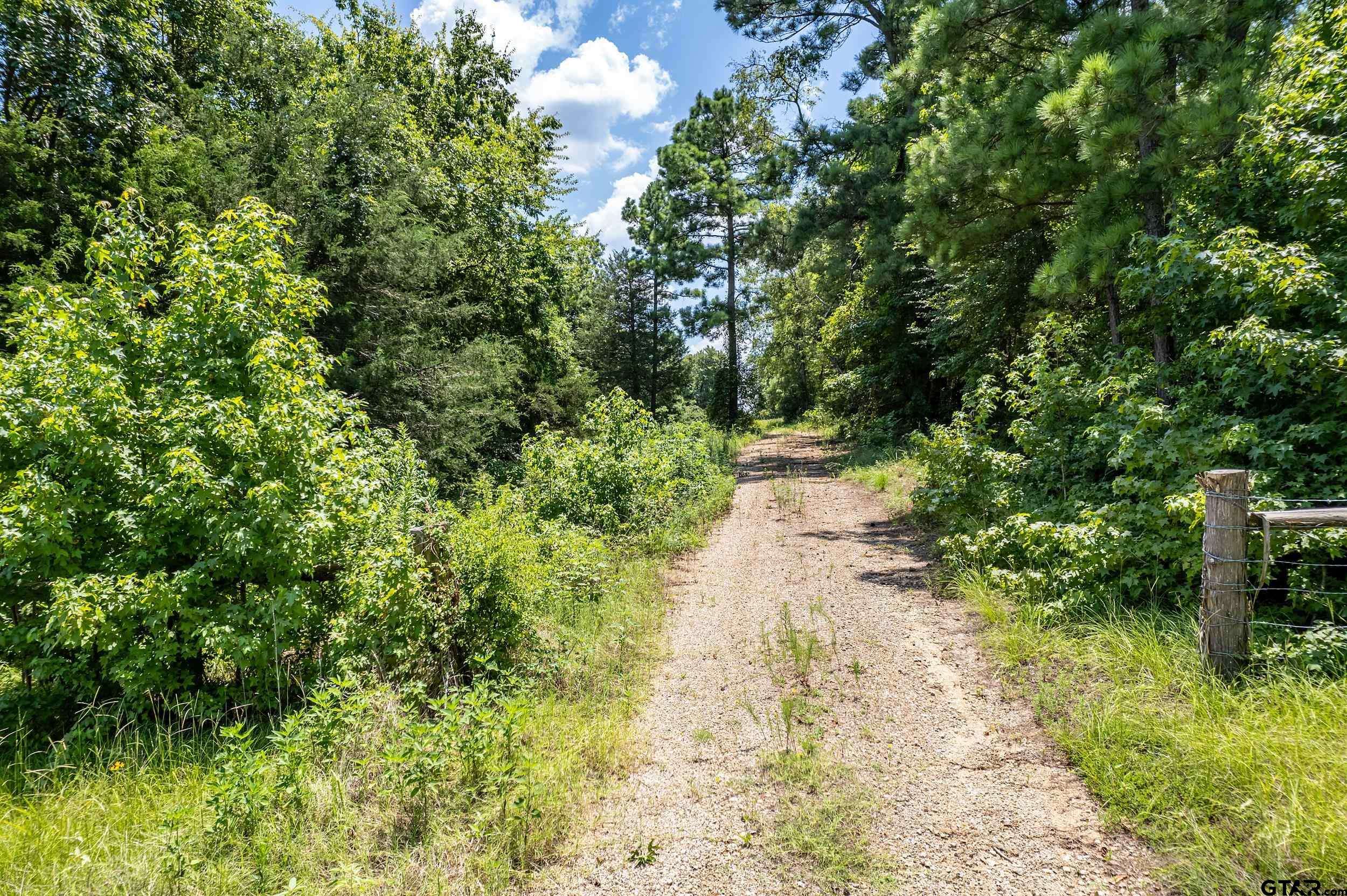 Winona, TX 75792,Lot 71 Star Mountain