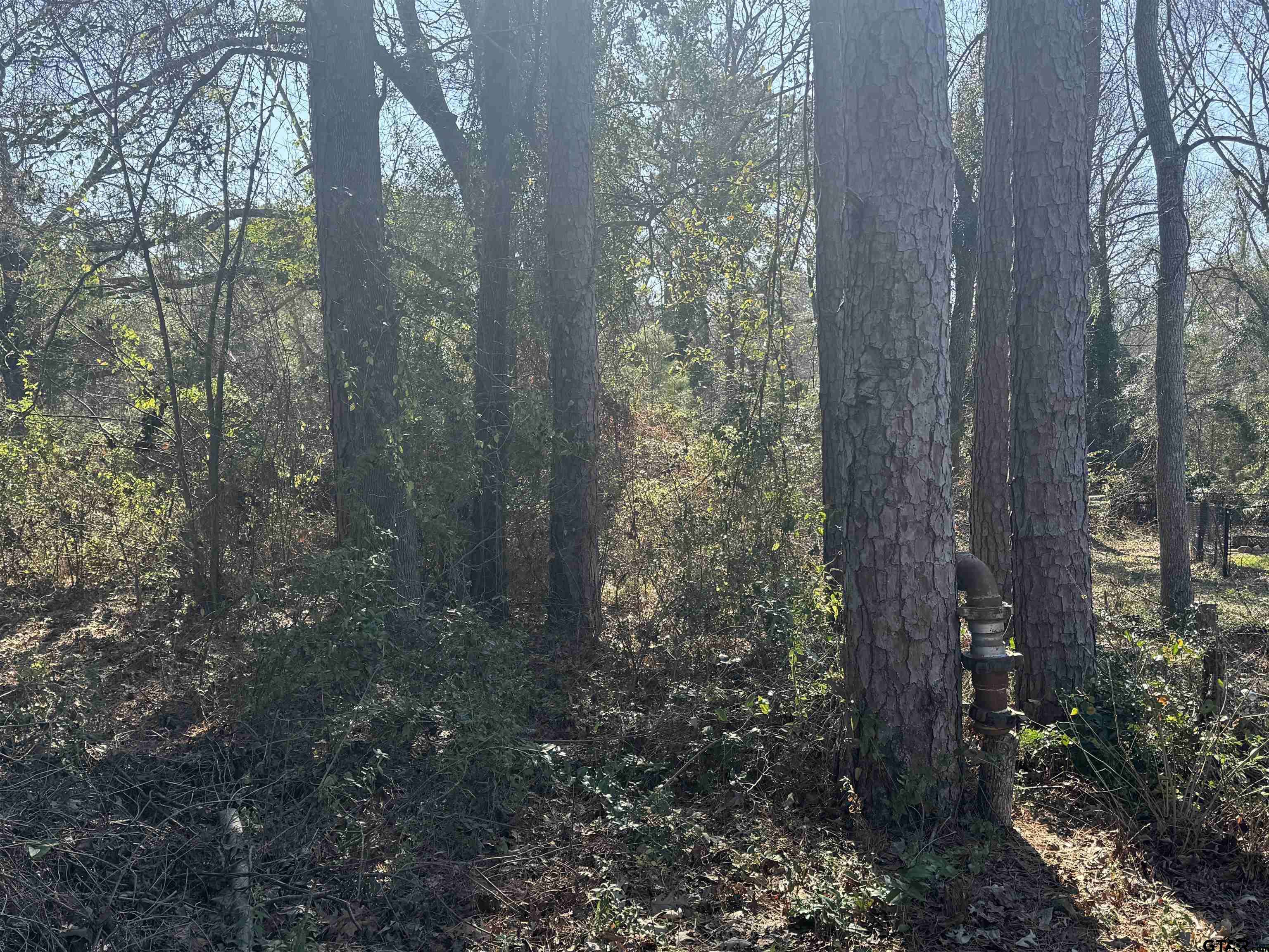 Flint, TX 75762,TBD Highmeadow Cir