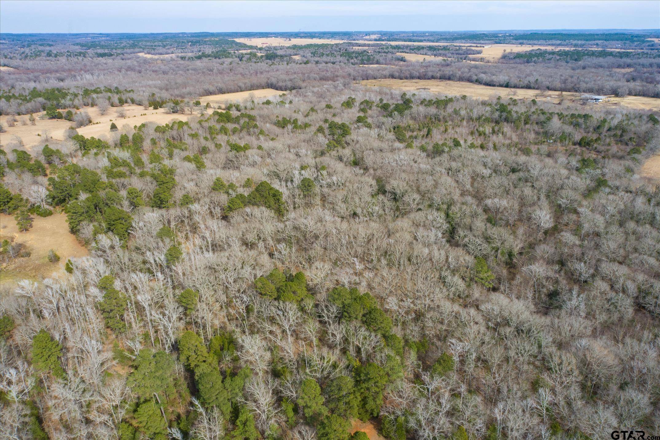Ben Wheeler, TX 75754,TBD County Road 4917