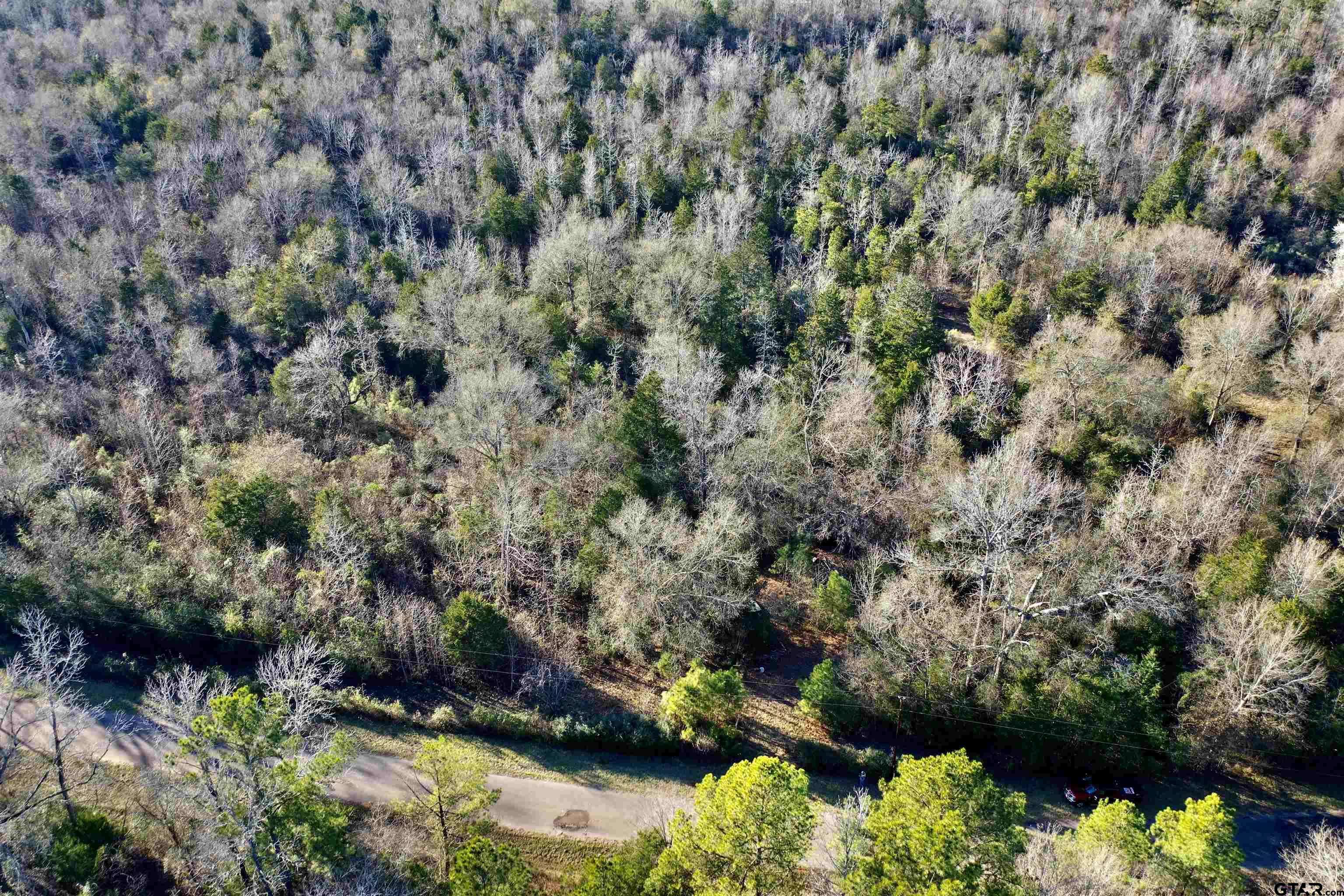 Elkhart, TX 75839,TBD An County Road 1206