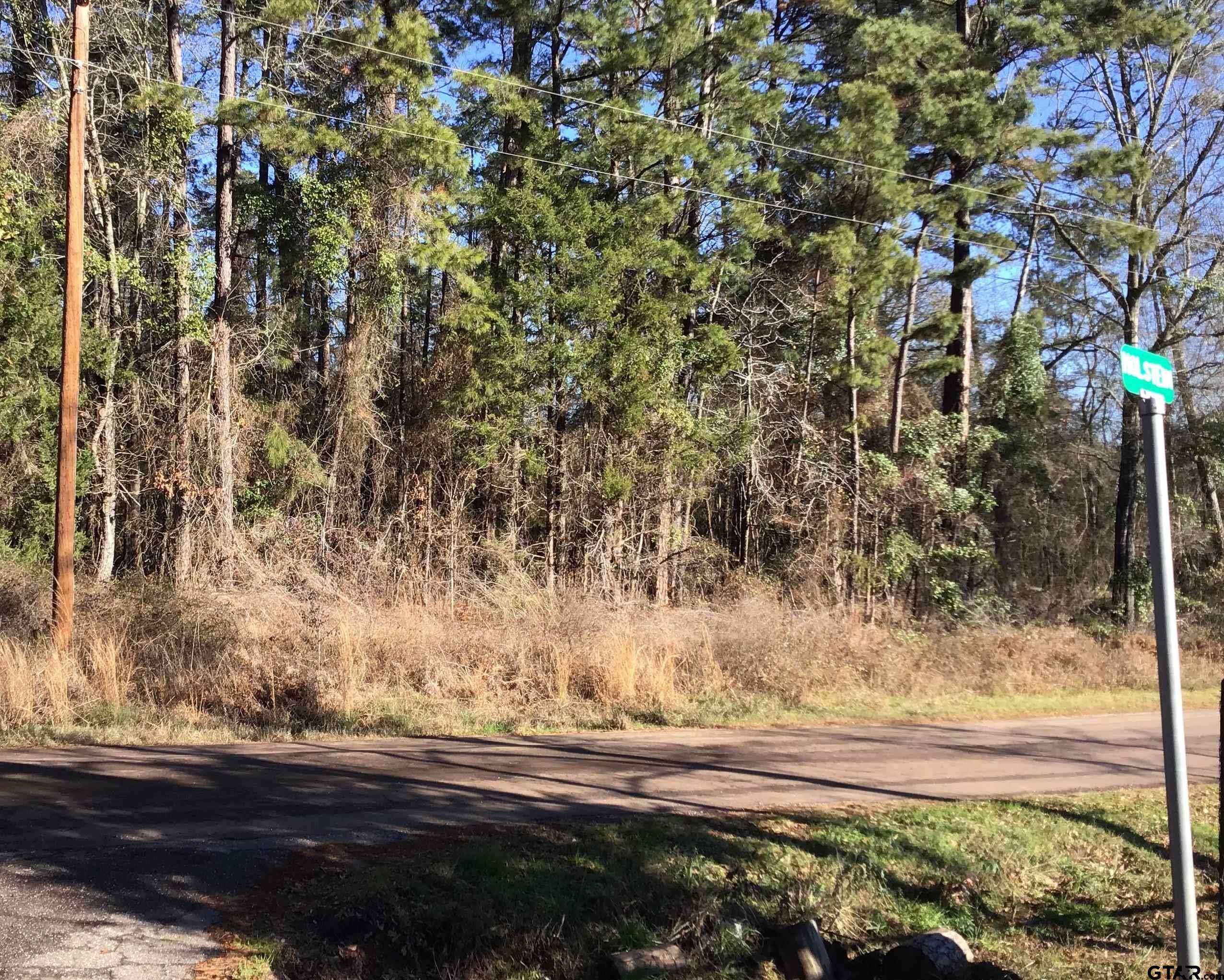 Gilmer, TX 75644,TBD Groundhog Rd