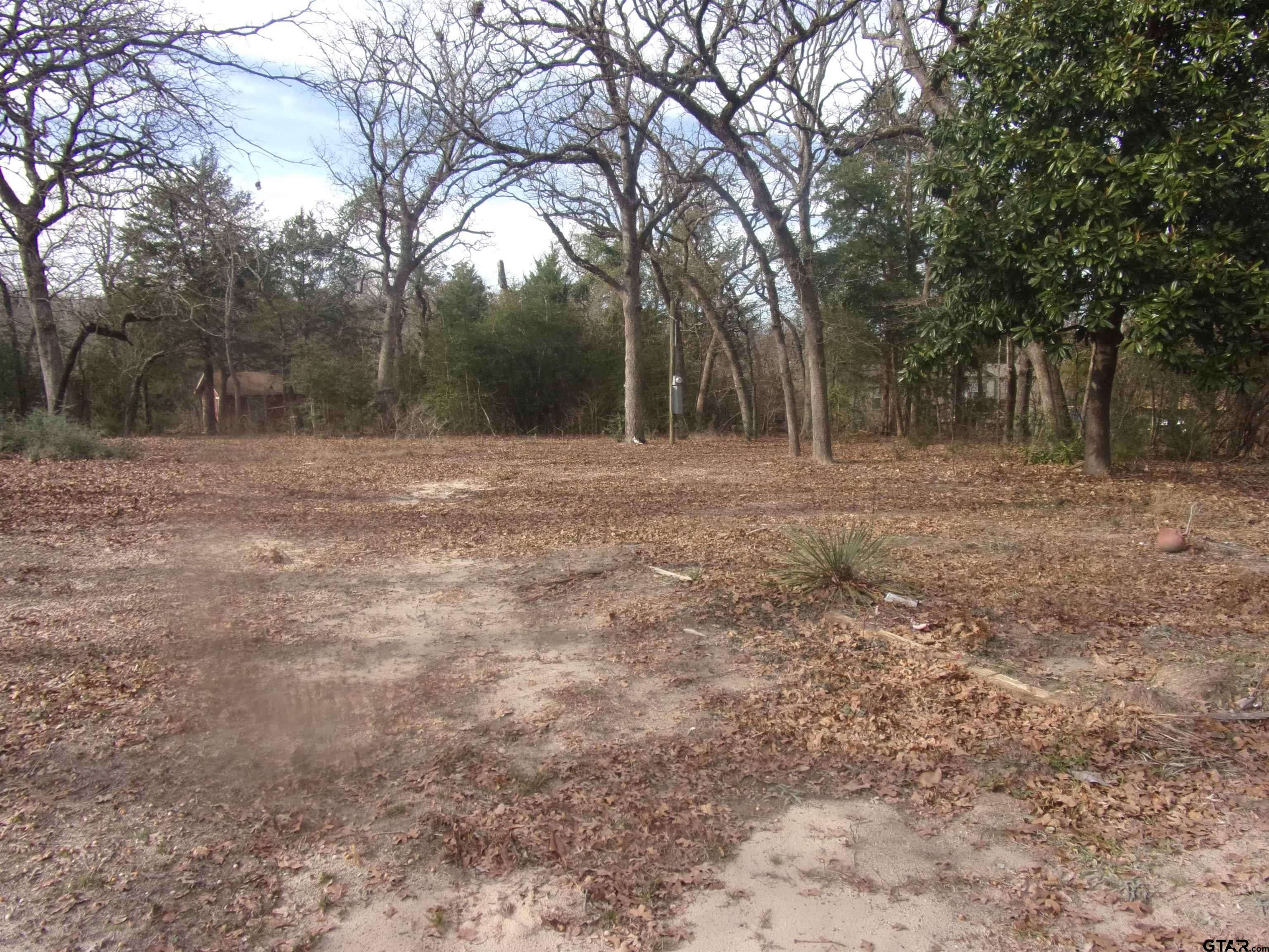 Murchison, TX 75778,111 Mimosa Drive