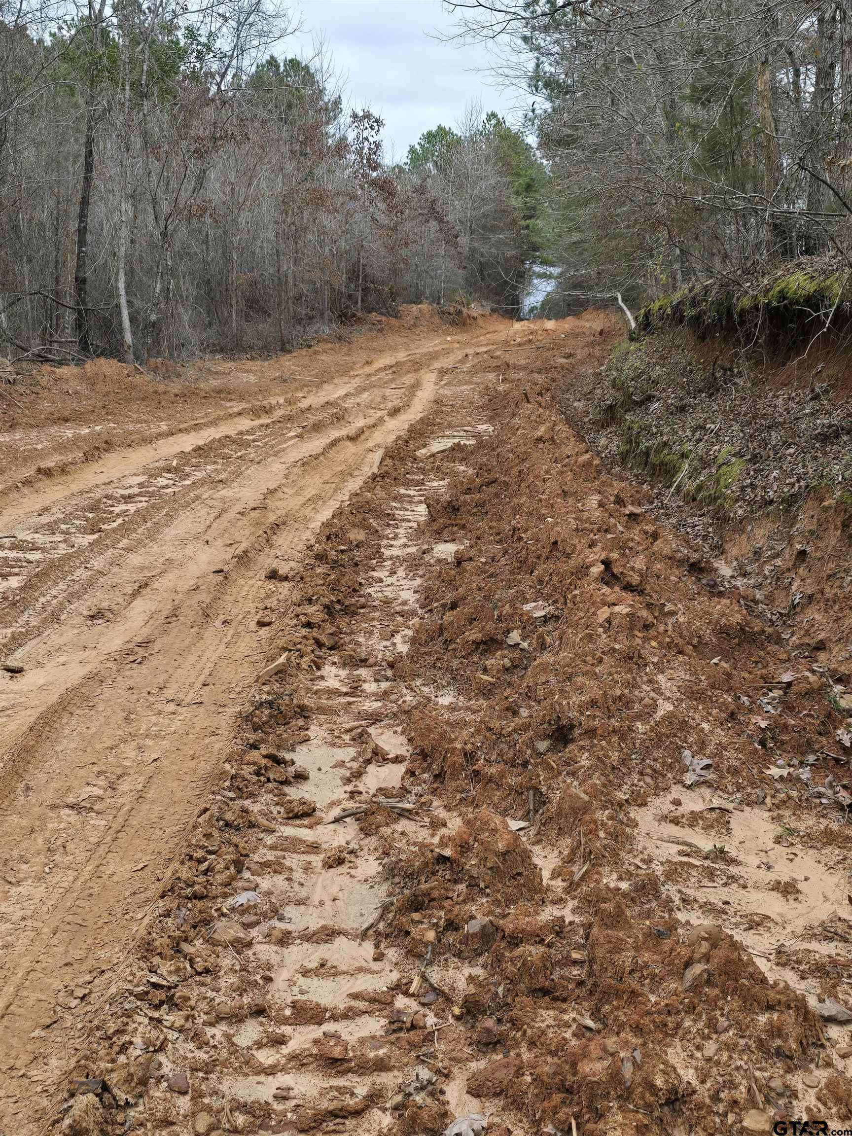 Gilmer, TX 75645,TBD New Hope Rd