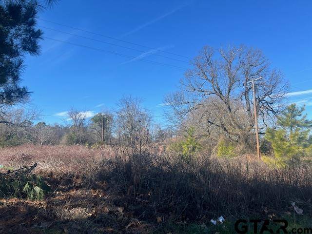 Mt Pleasant, TX 75455,TBD FM 1402