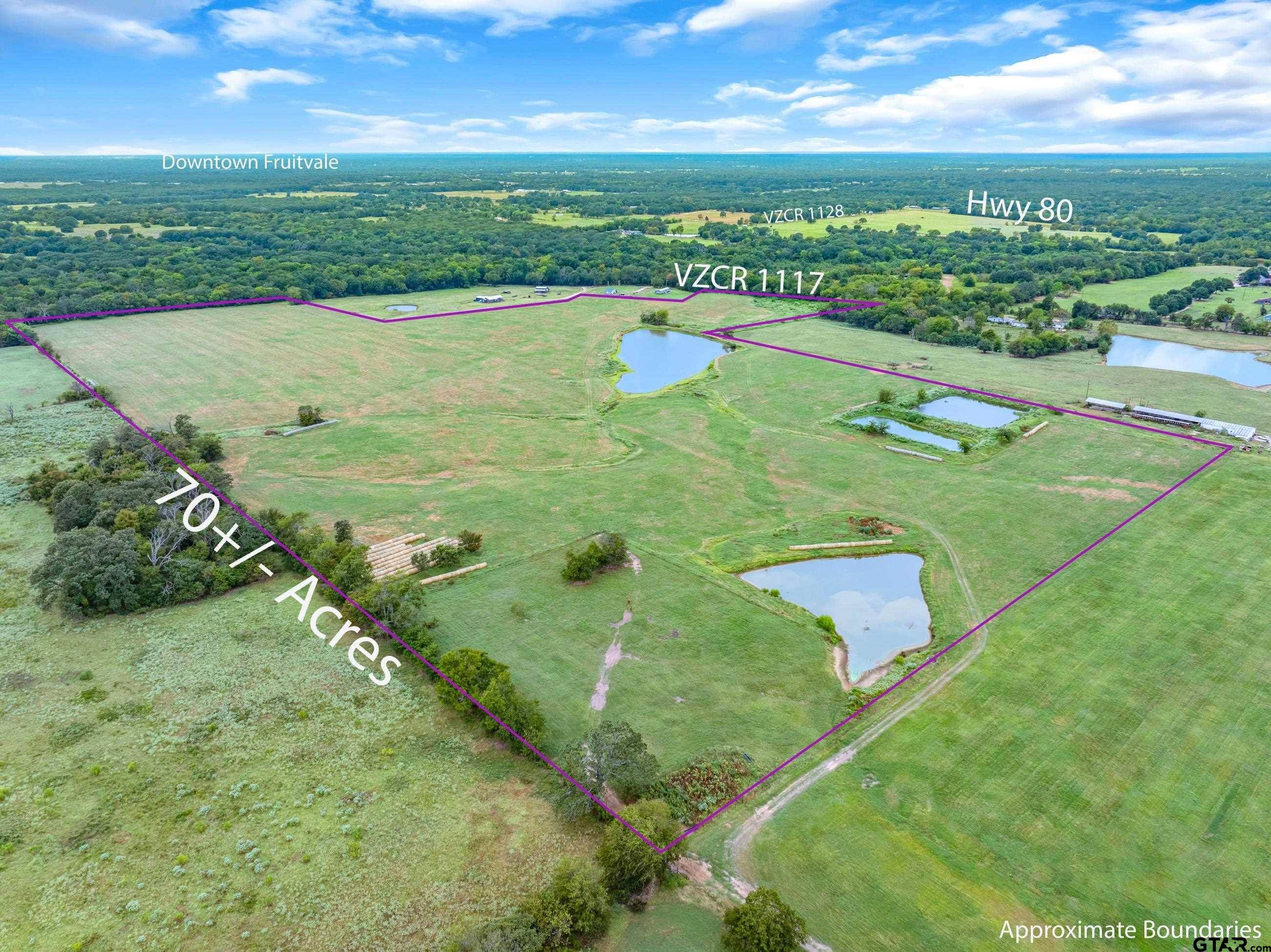 Grand Saline, TX 75140,TBD (70 Acres) VZ County Road 1117