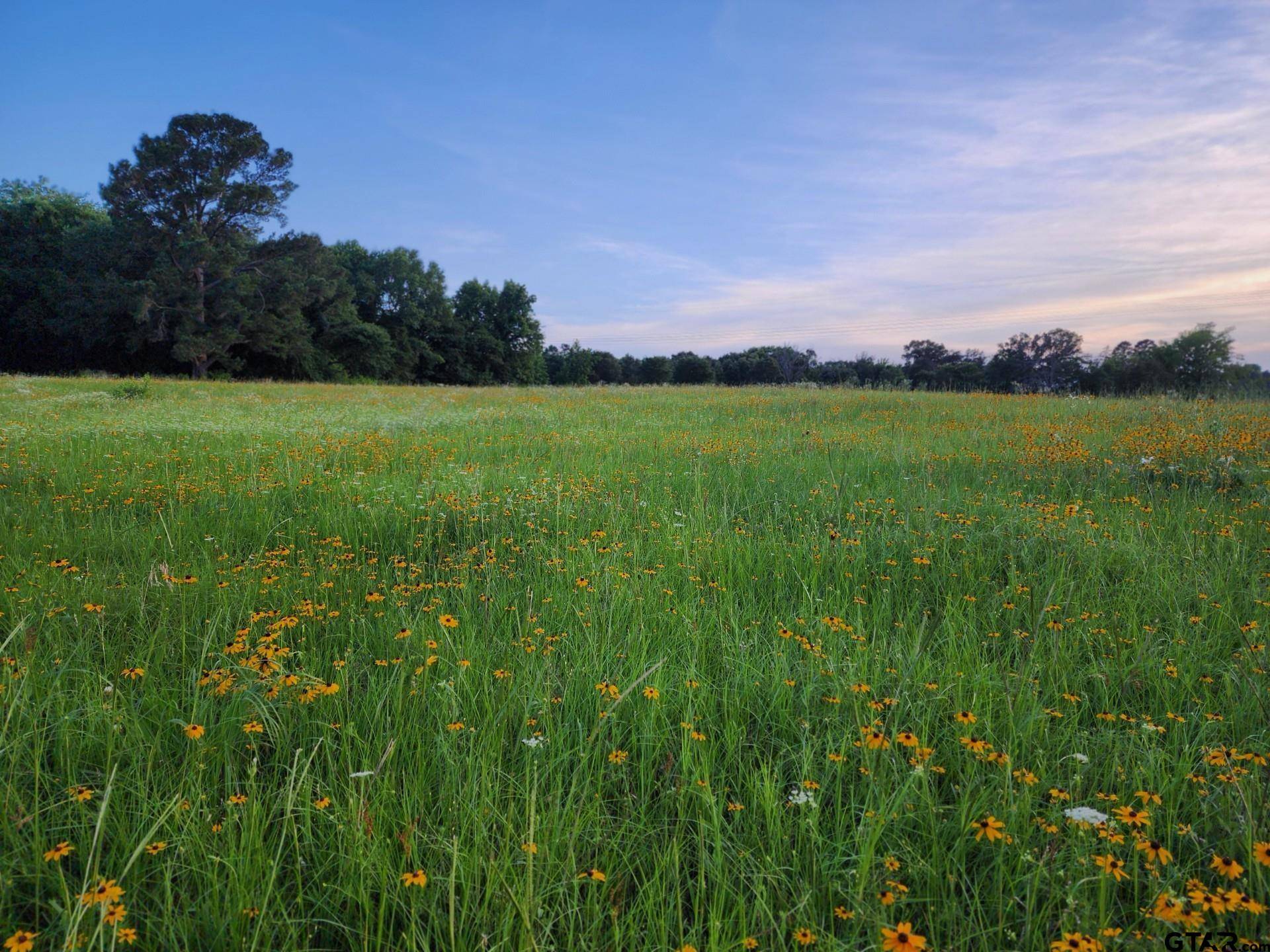 Bullard, TX 75757,1594B County Road 3816