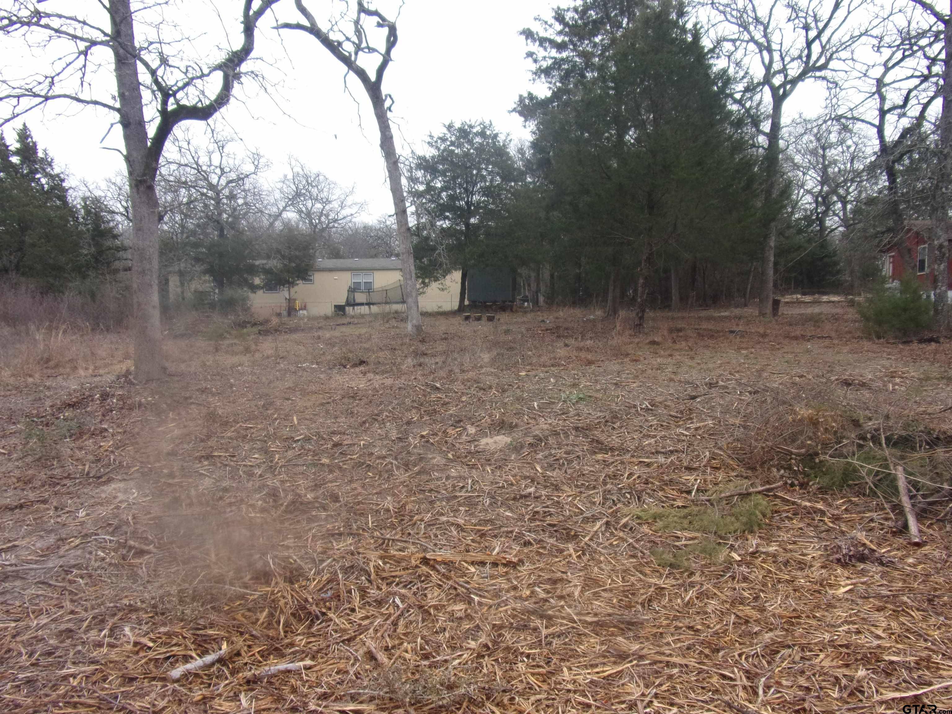 Murchison, TX 75778,tbd Maple Dr.