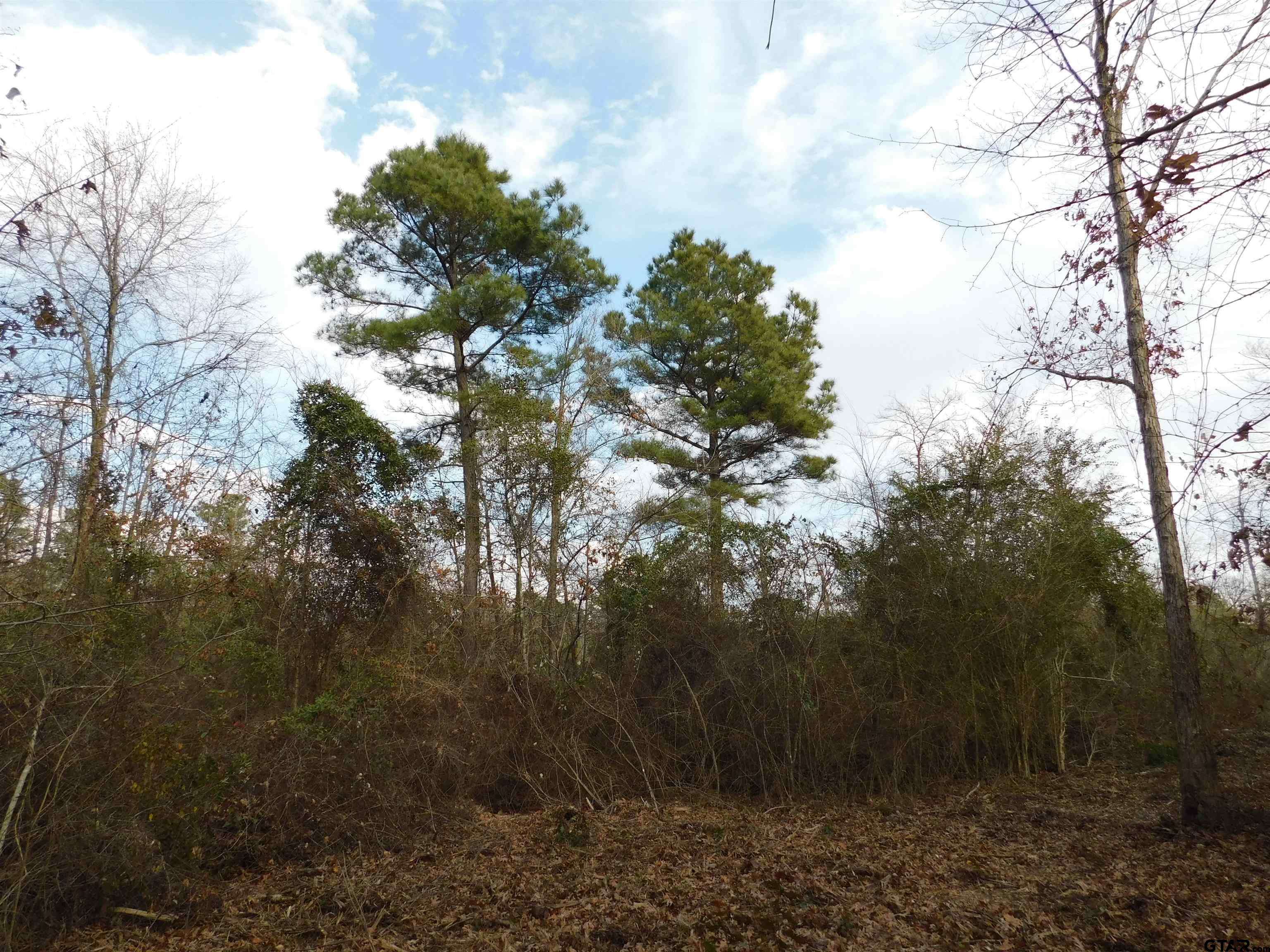 Gilmer, TX 75644,TBD FM 852