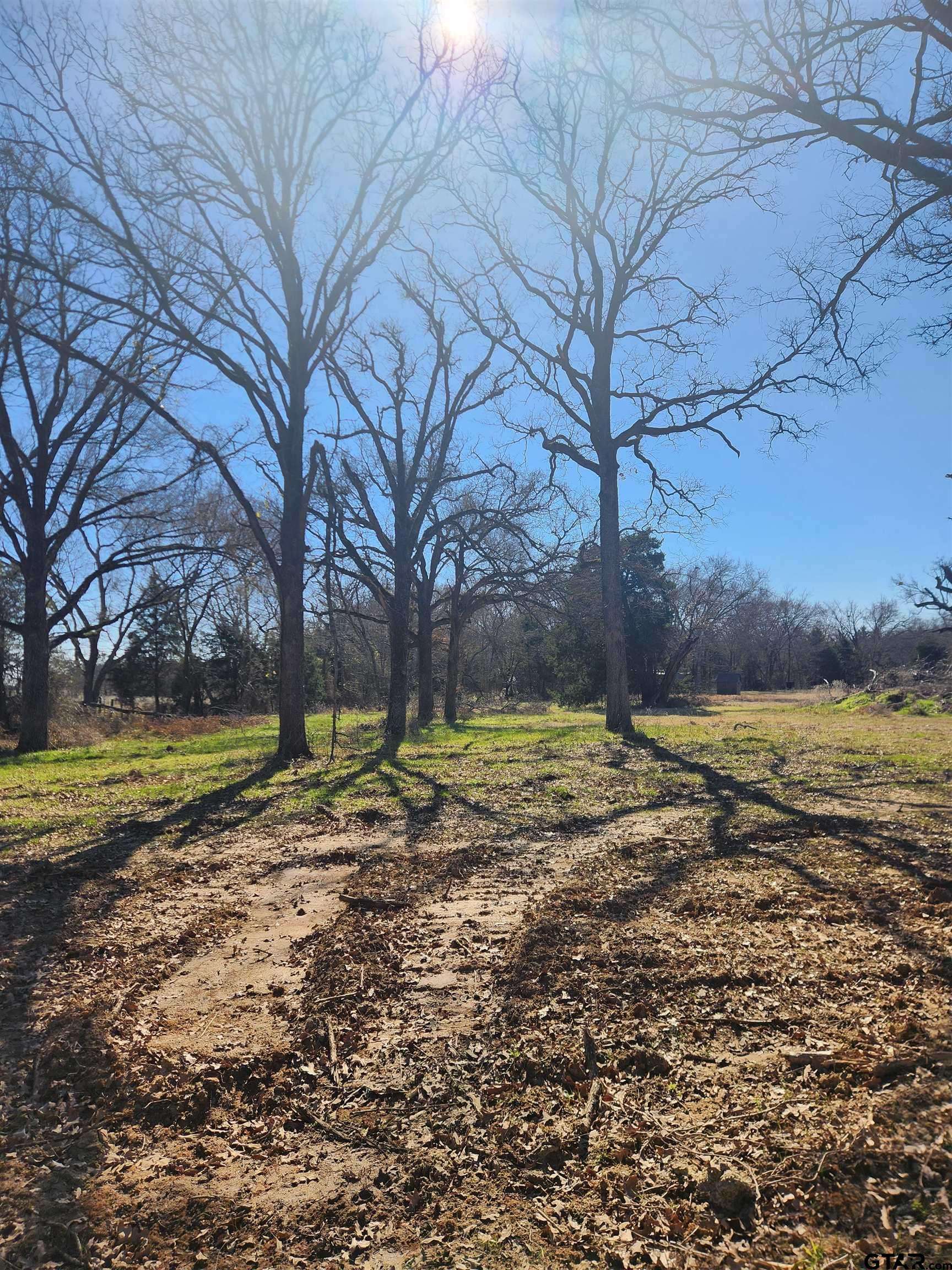 Athens, TX 75751,TBD CR 1405 Lot 6