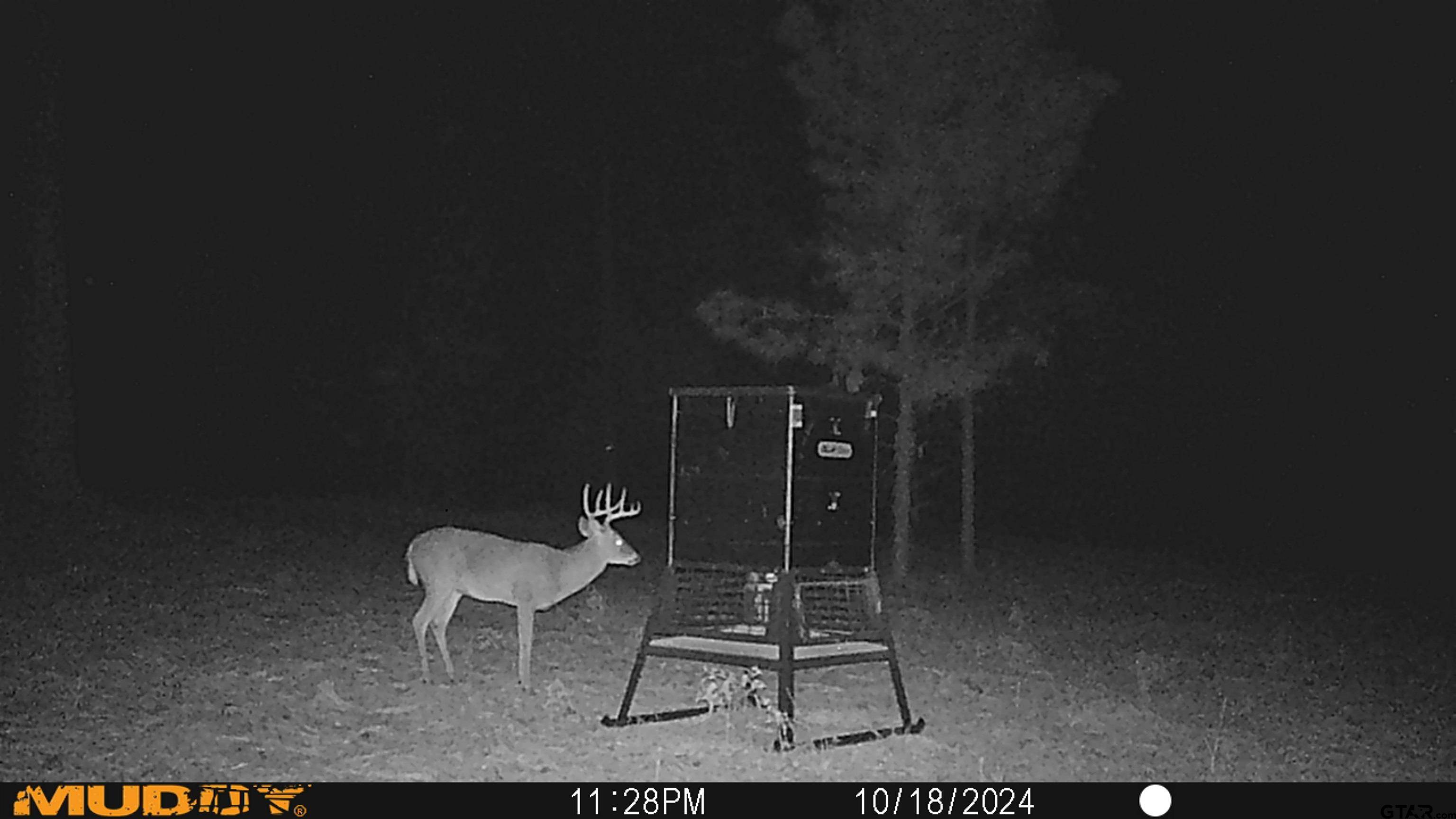 Ben Wheeler, TX 75754,TBD PR 8079