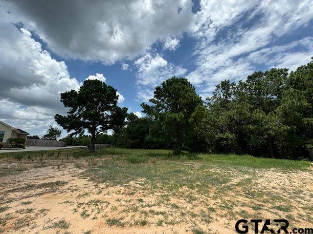 Lindale, TX 75771,568 Imagine Drive