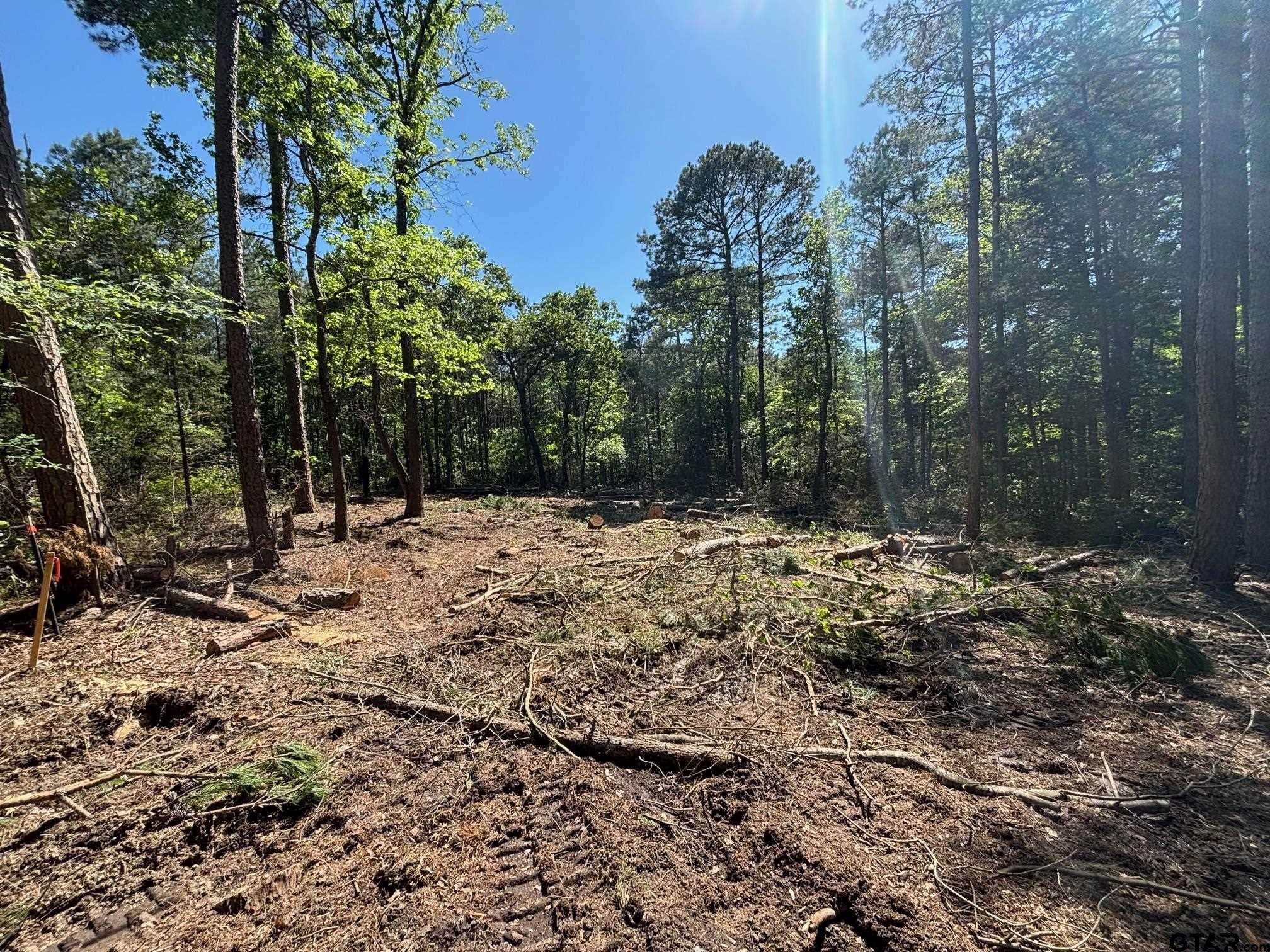 Diana, TX 75640,TBD ZINNIA RD