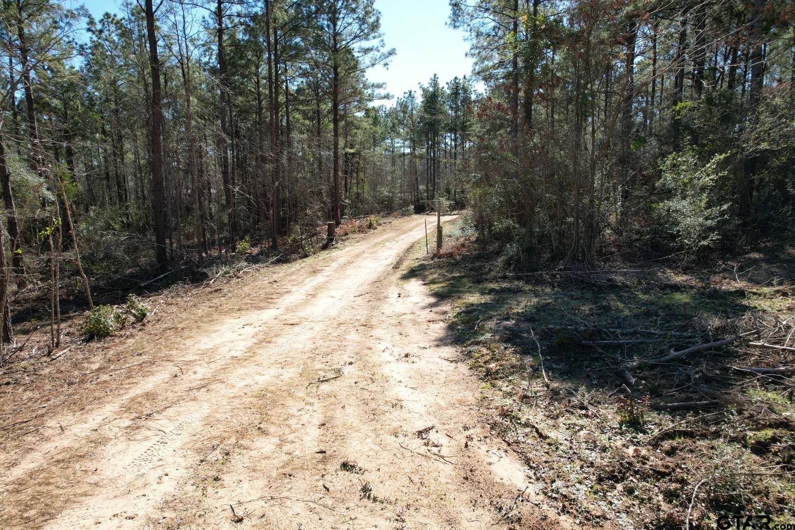Mt Enterprise, TX 75681,TBD-D County Road 3198
