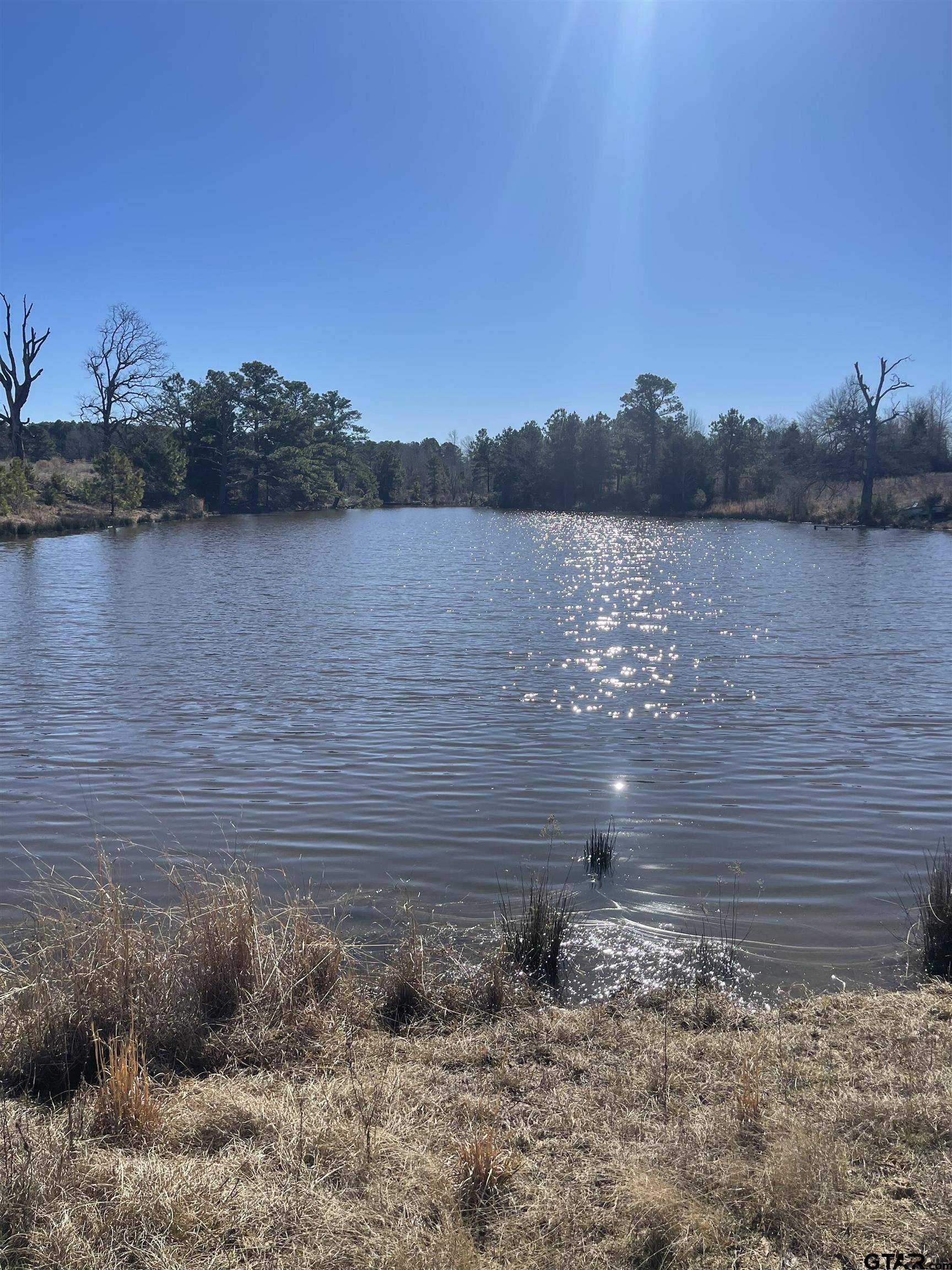 Tyler, TX 75708,7979 CR 398