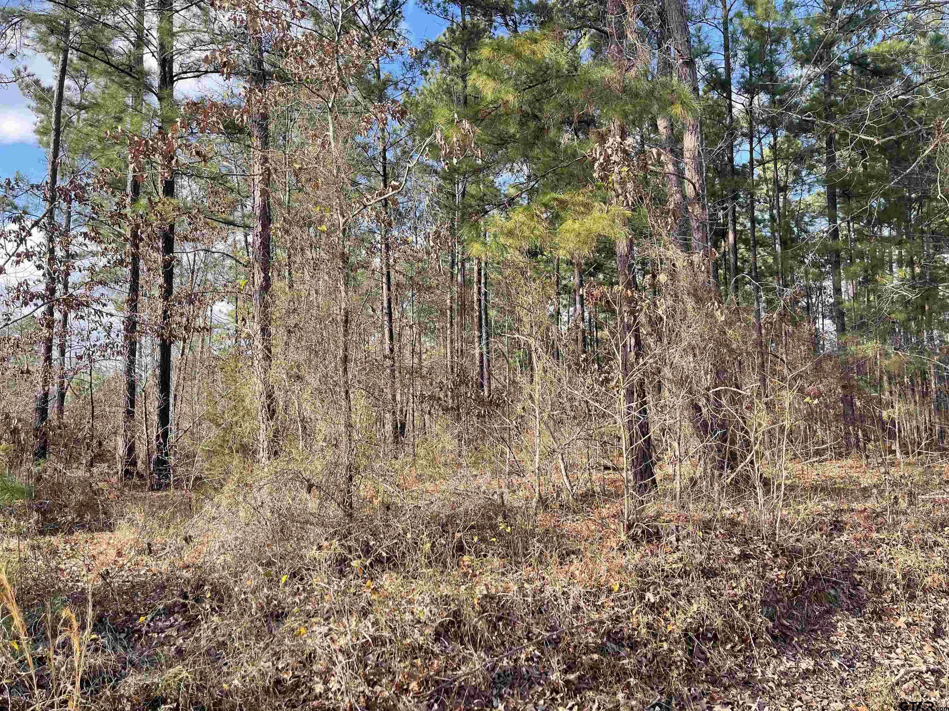 Troup, TX 75789,TBD County Road 2160