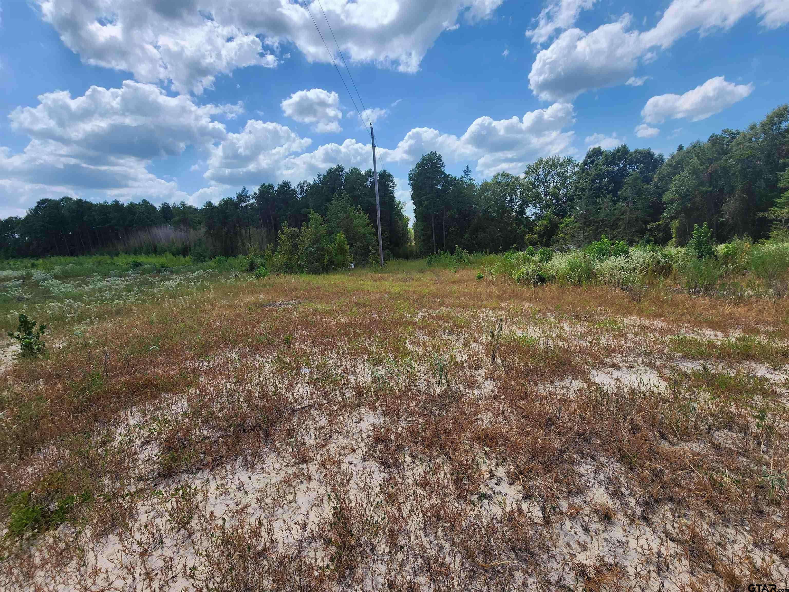 Linden, TX 75563,TRACT 5 TBD COUNTY ROAD 1762