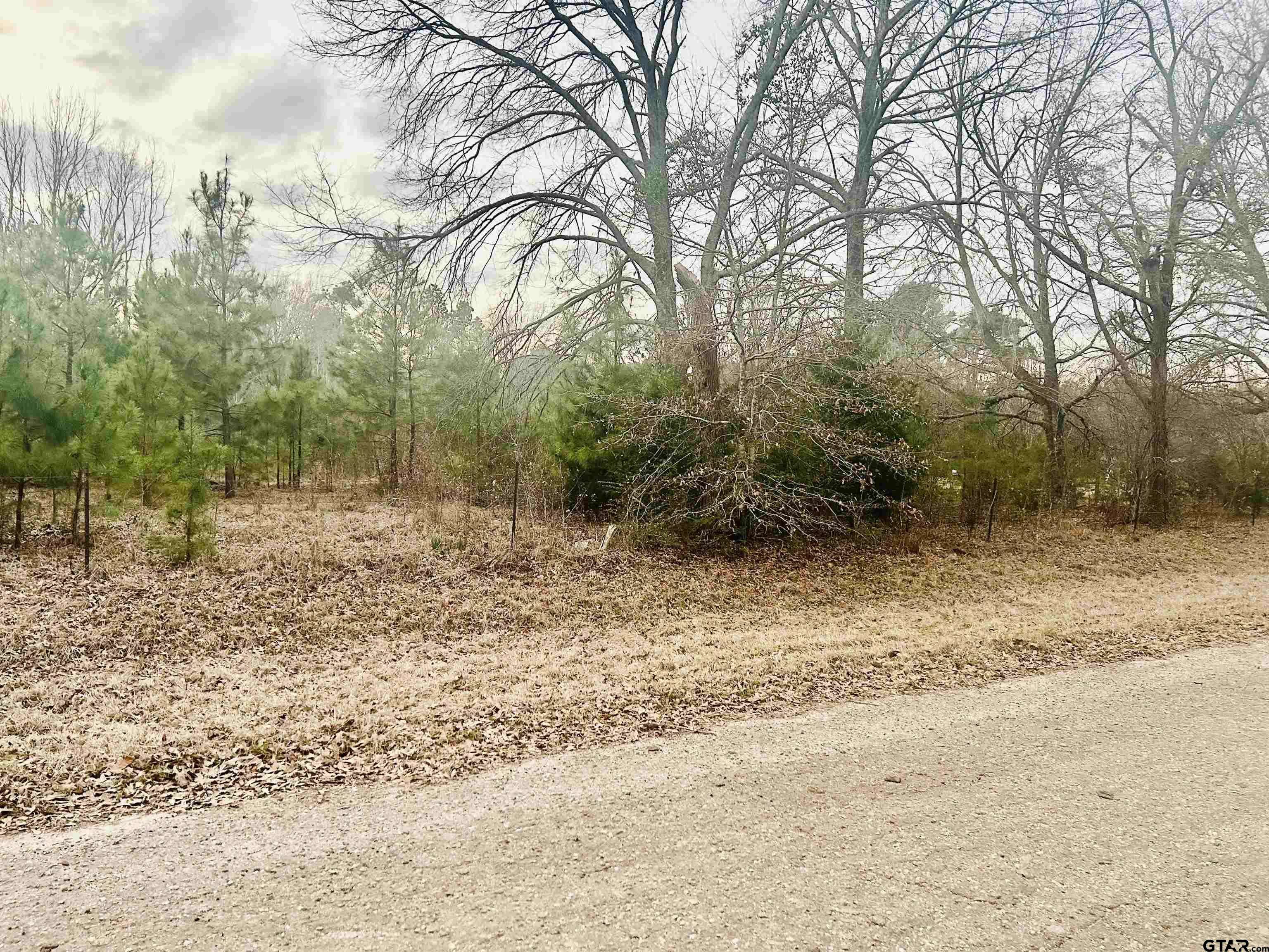 Troup, TX 75789,19790 County Road 2343